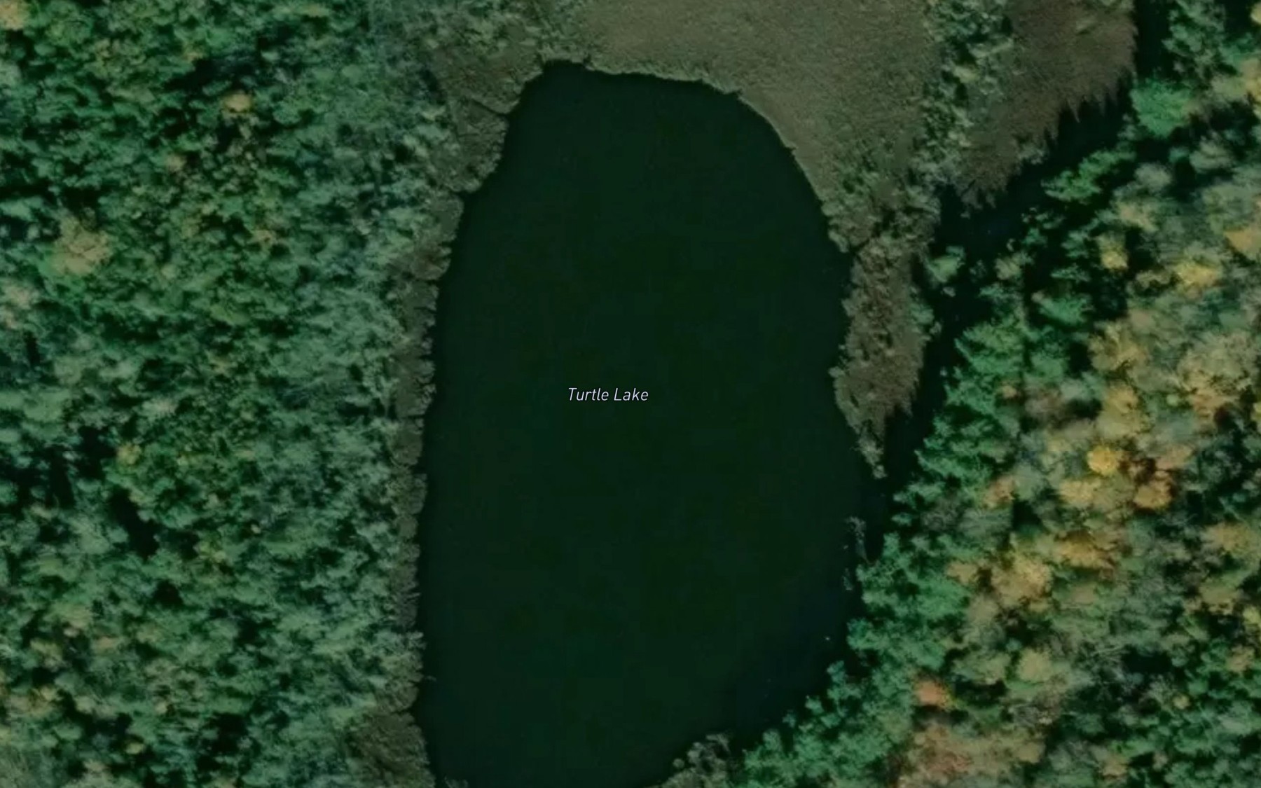 Satellite map of the Turtle Lake