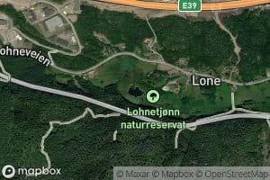 Lonetjonn