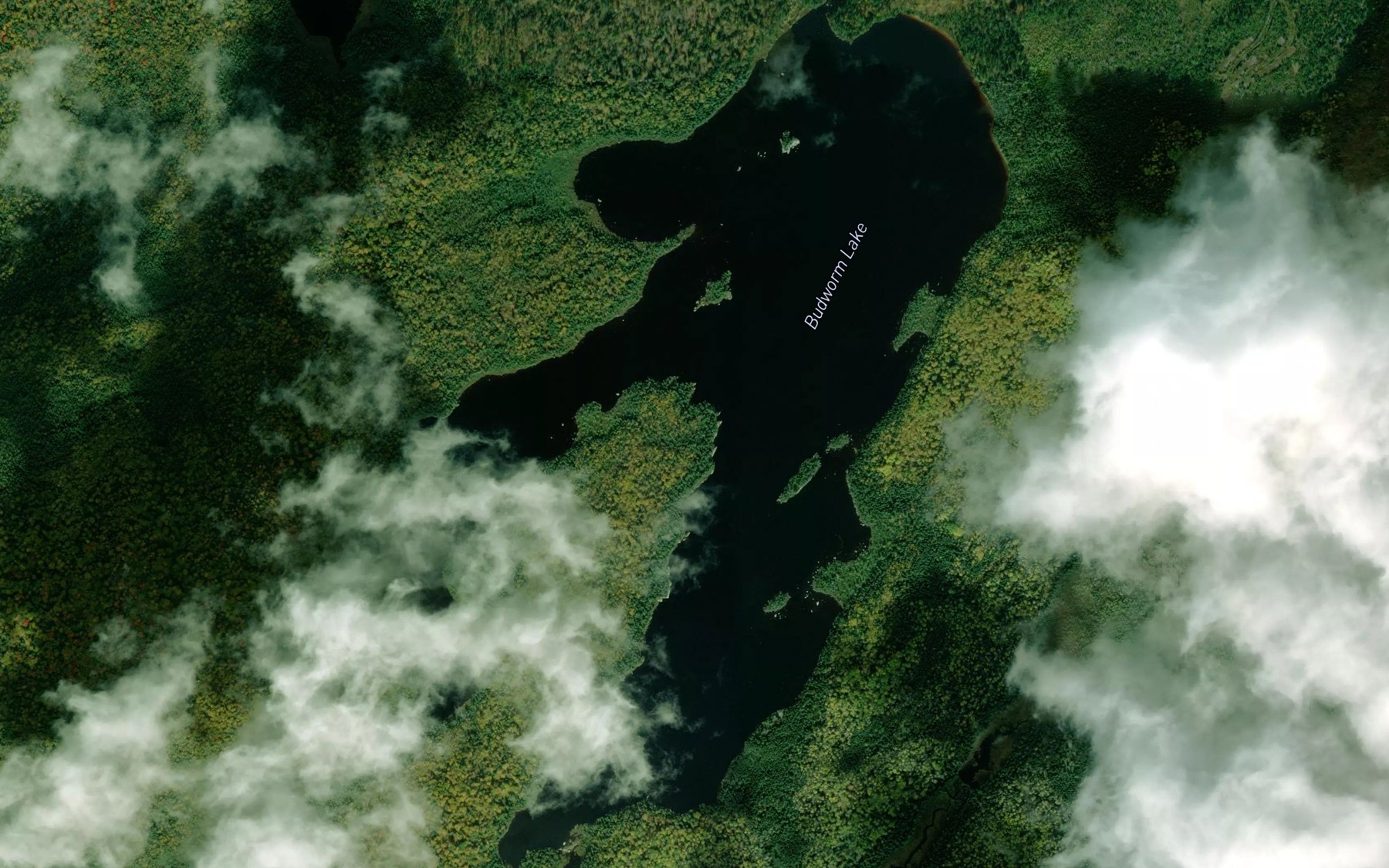 Satellite map of the Budworm Lake