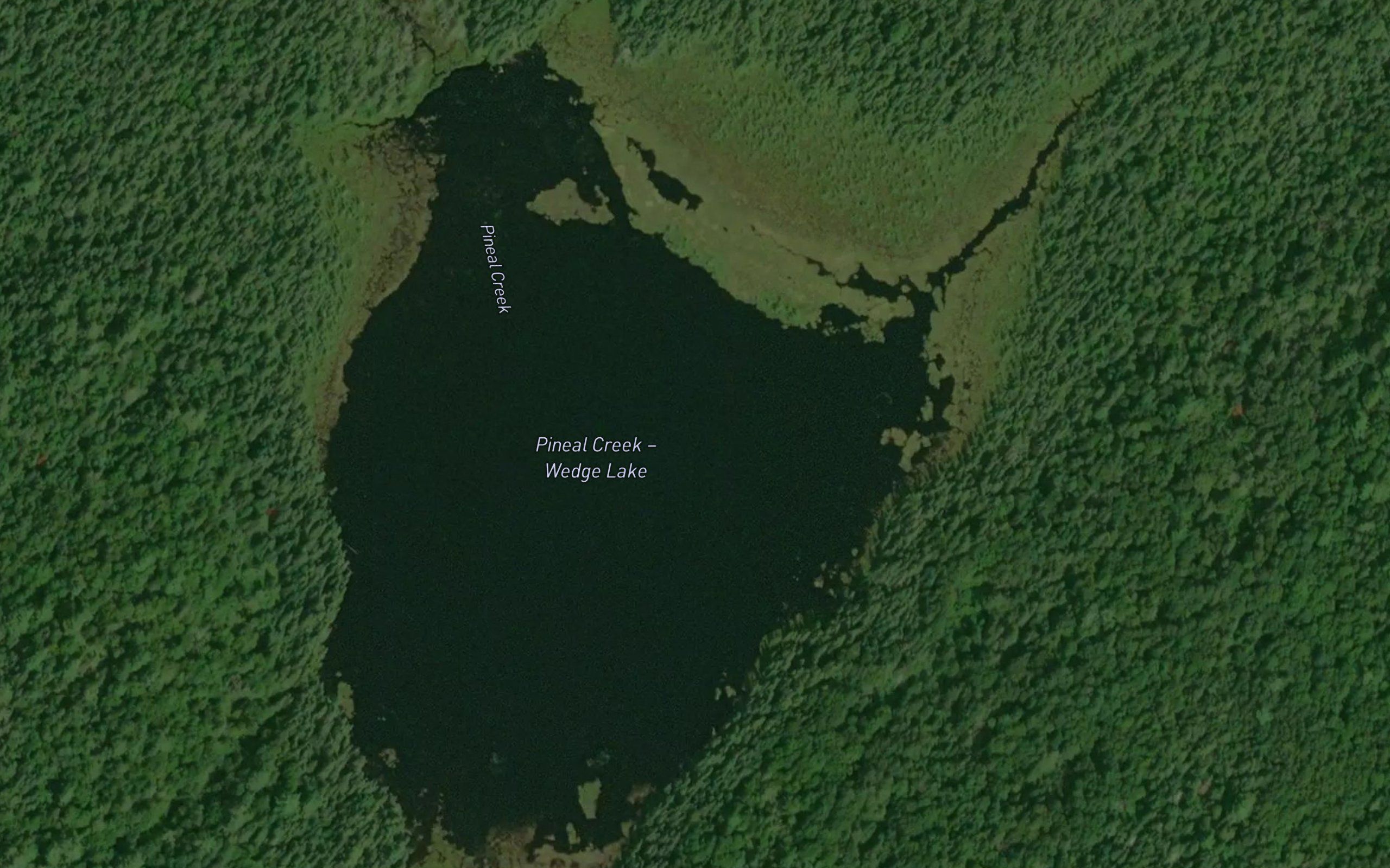 Wedge Lake