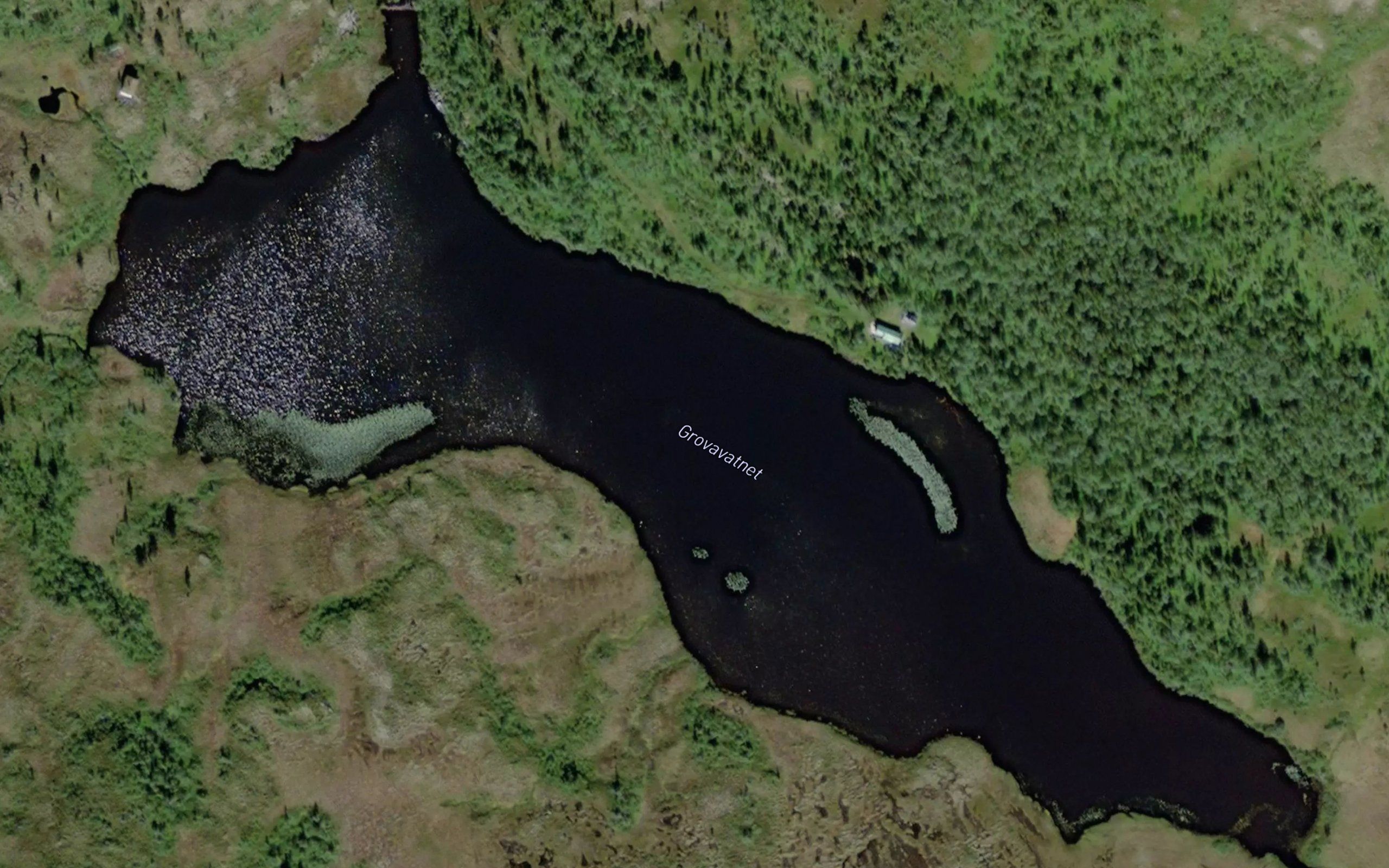 Grovavatnet