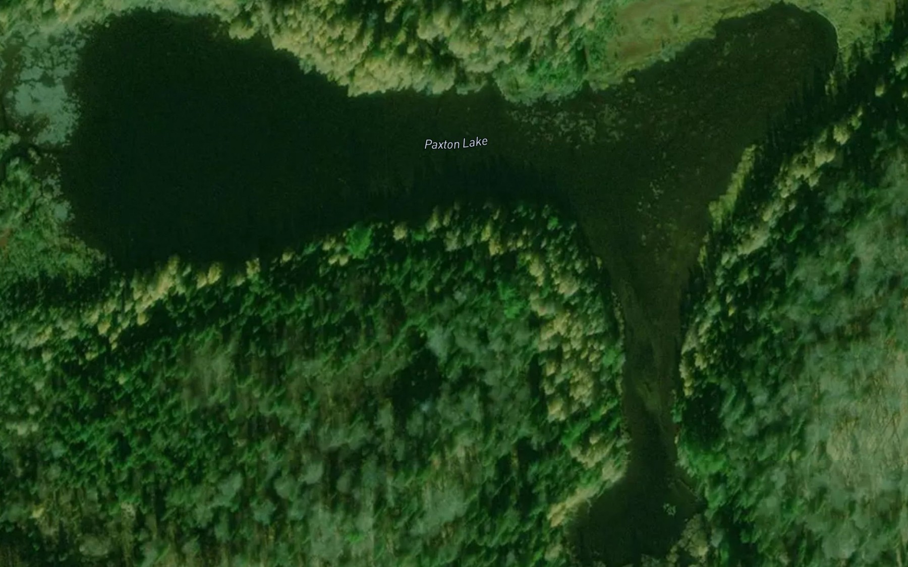 Satellite map of the Paxton Lake