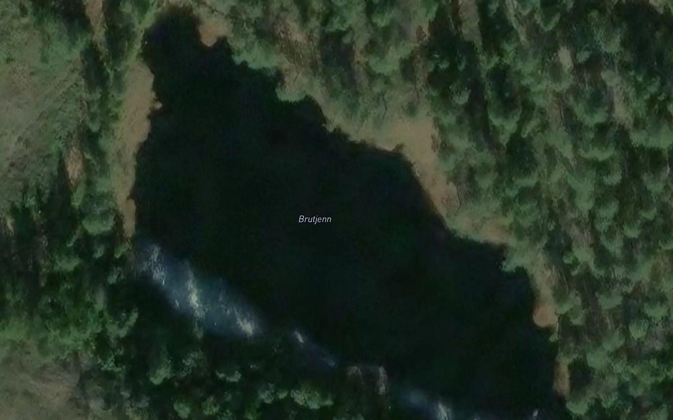 Brutjern