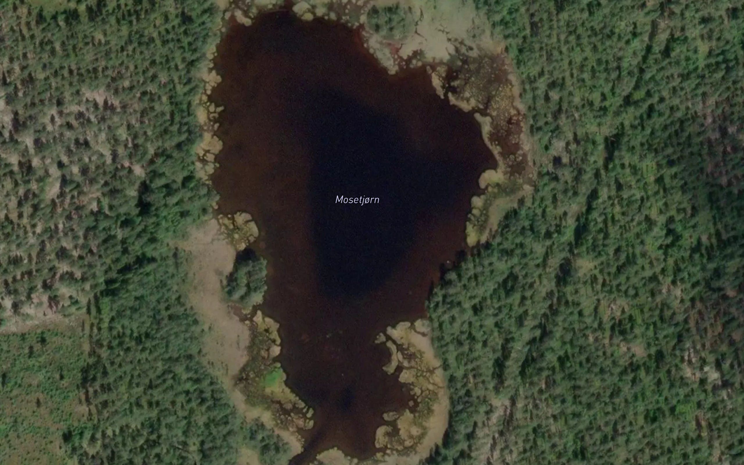 Mosetjorn