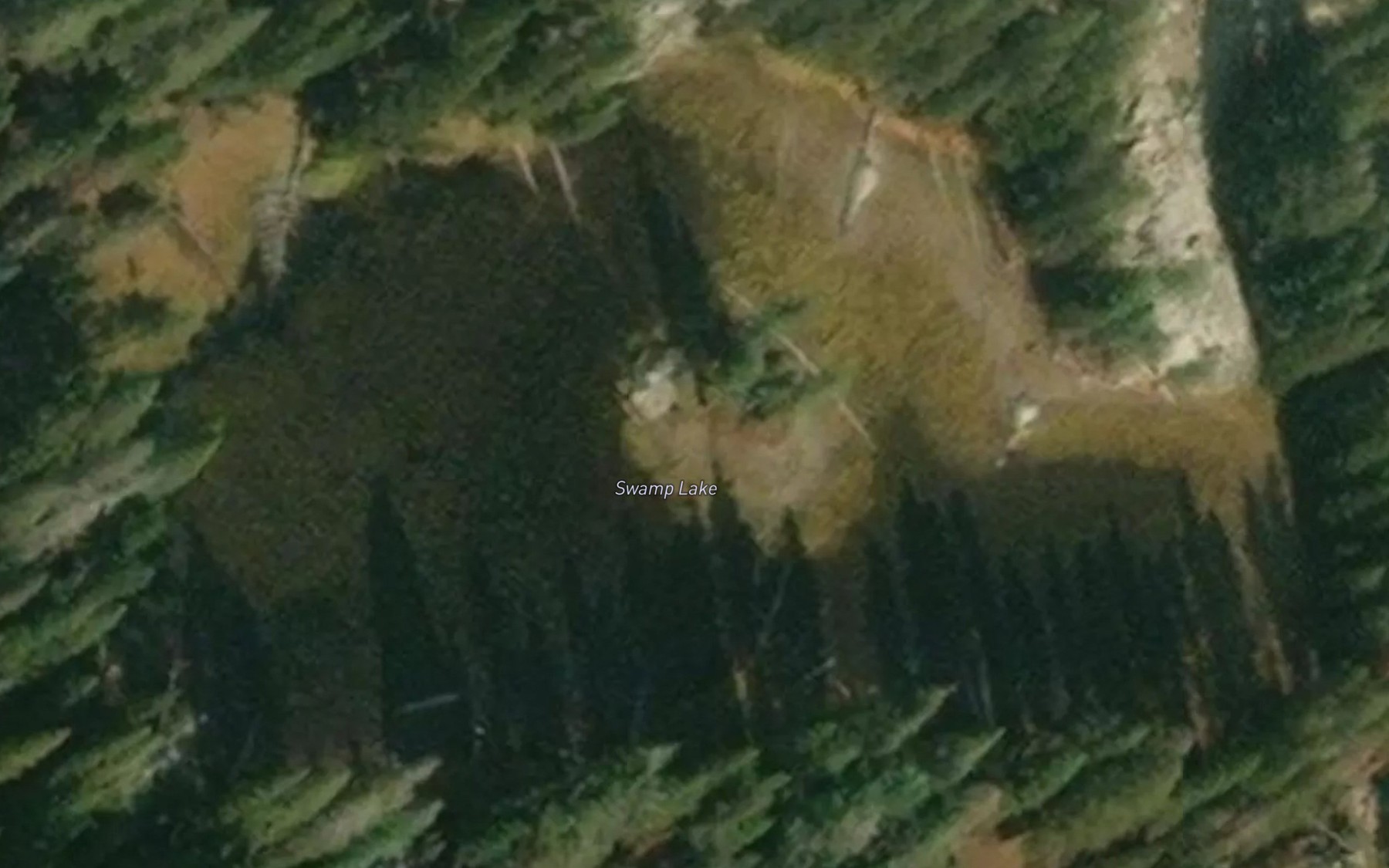 Satellite map of the Swamp Lake