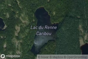 Lac du Renne Caribou