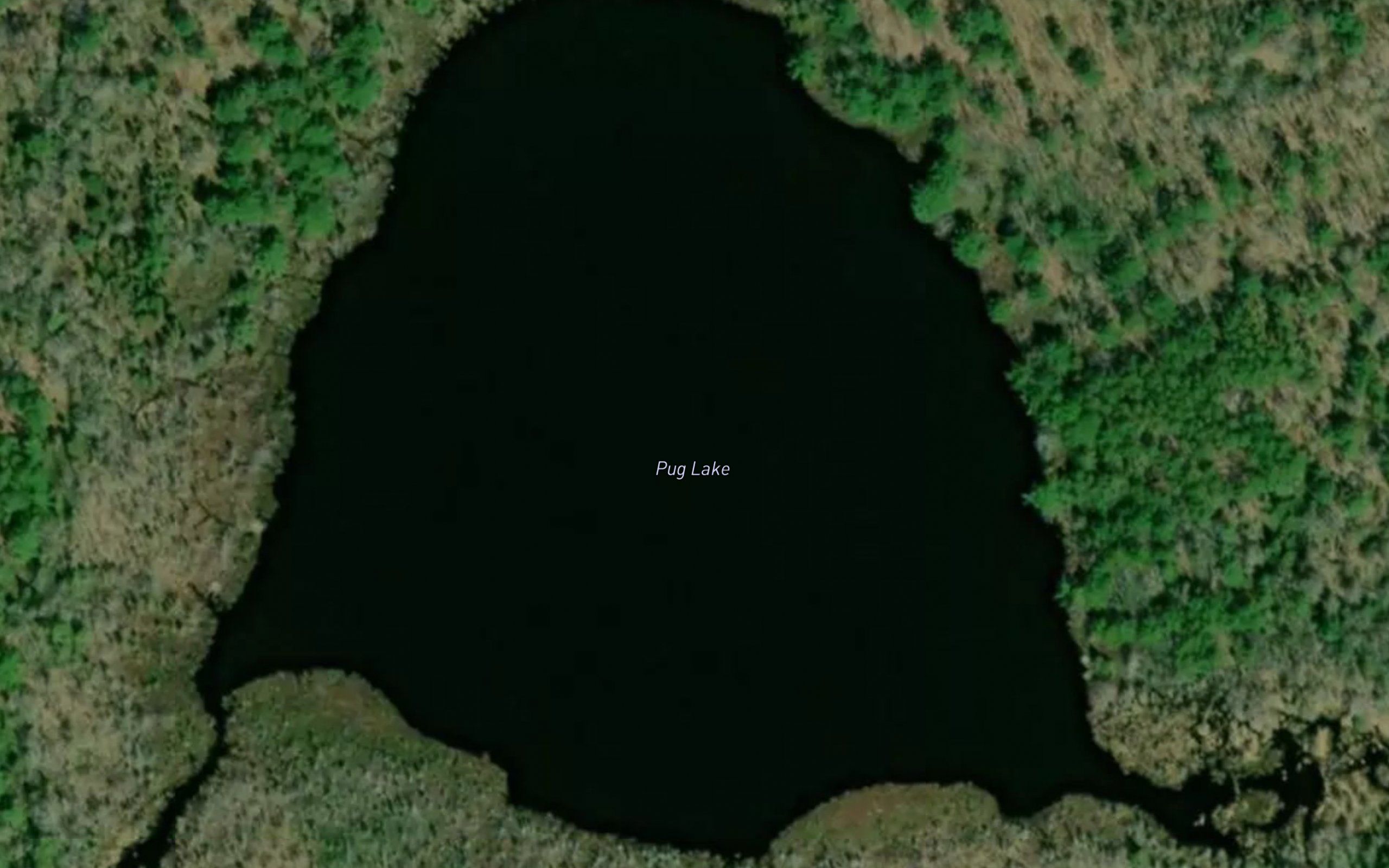 Pug Lake