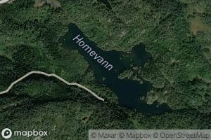 Homevatn