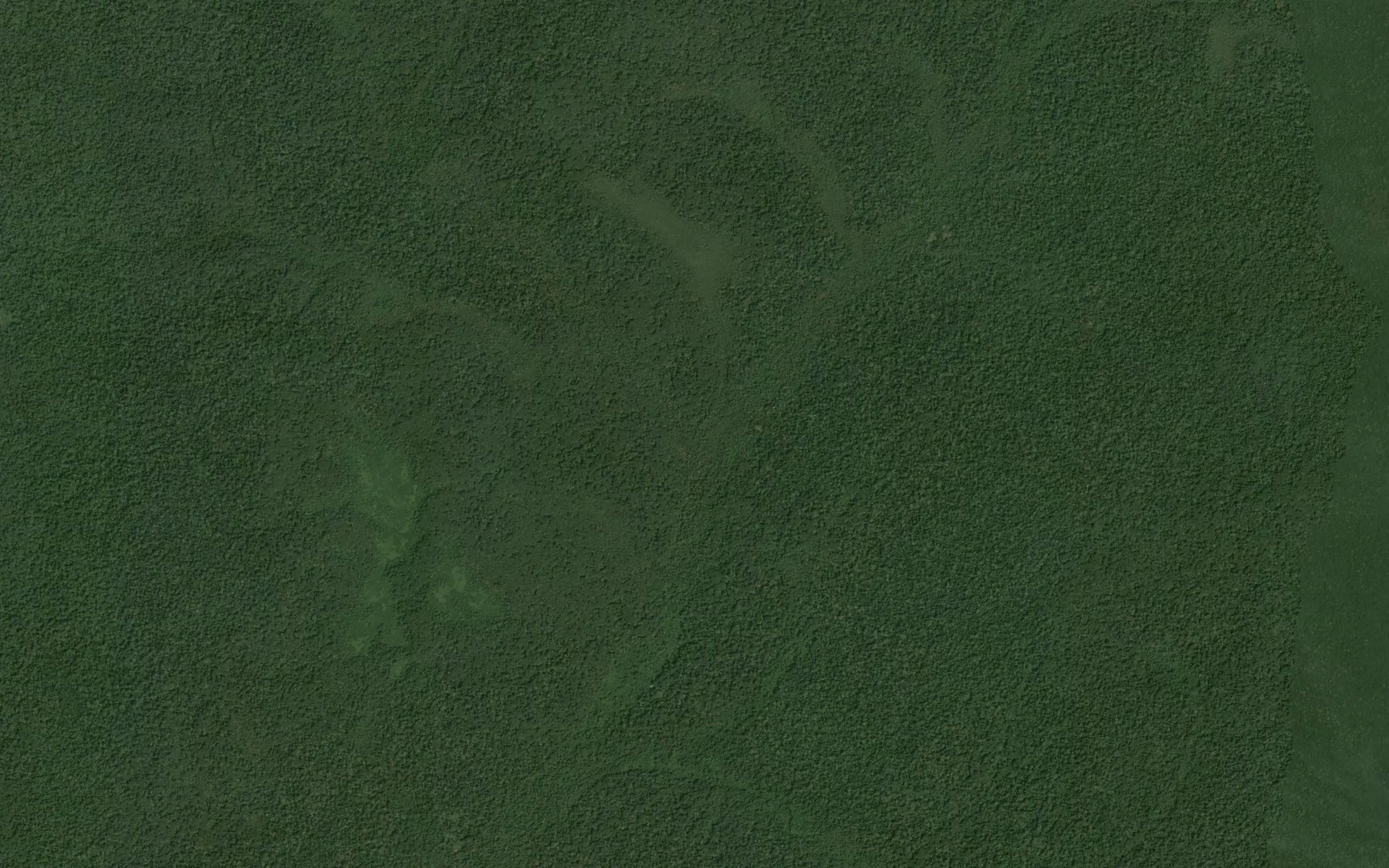 Satellite map of the Gongolo