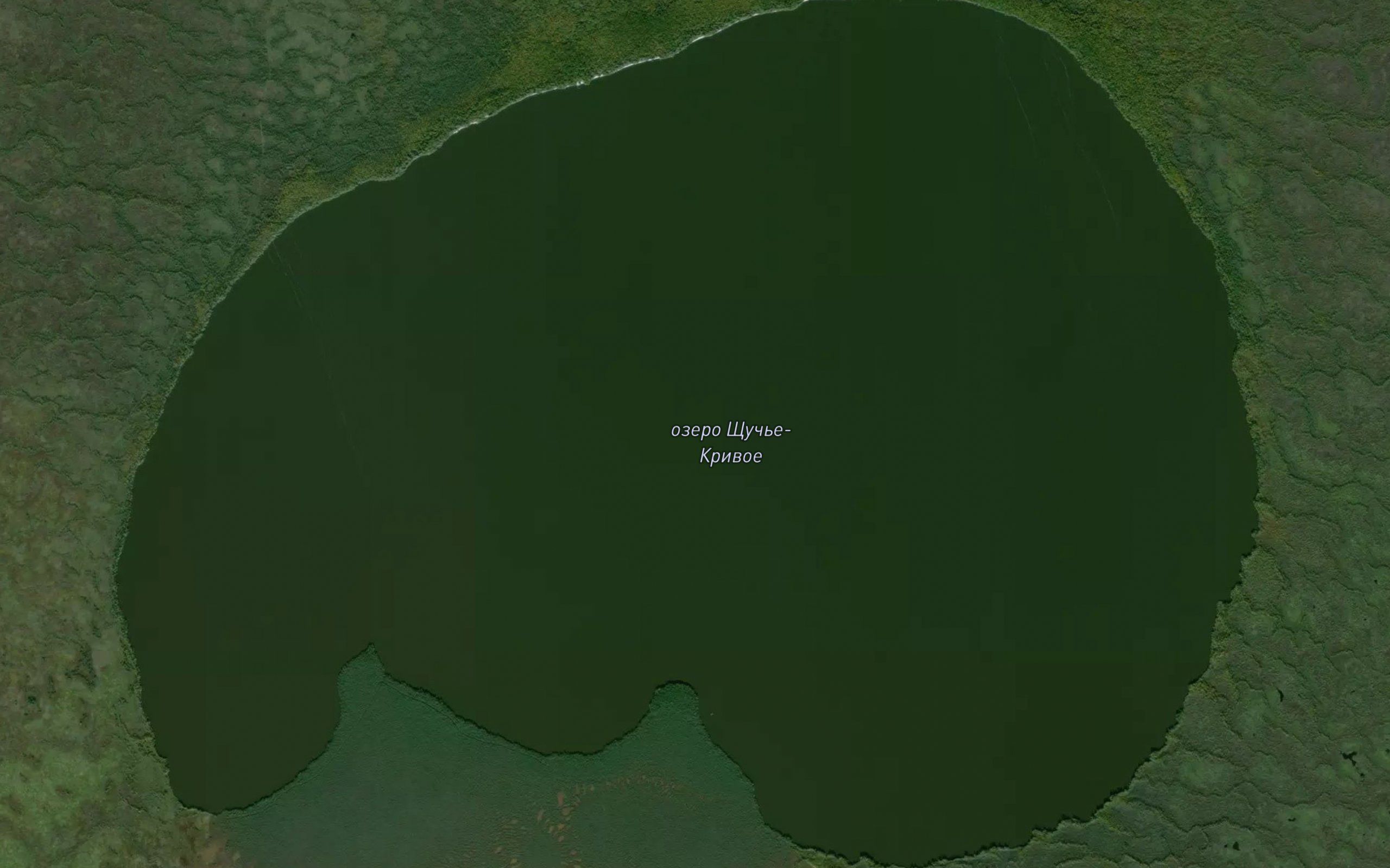 Ozero Shuch'ye-Krivoye