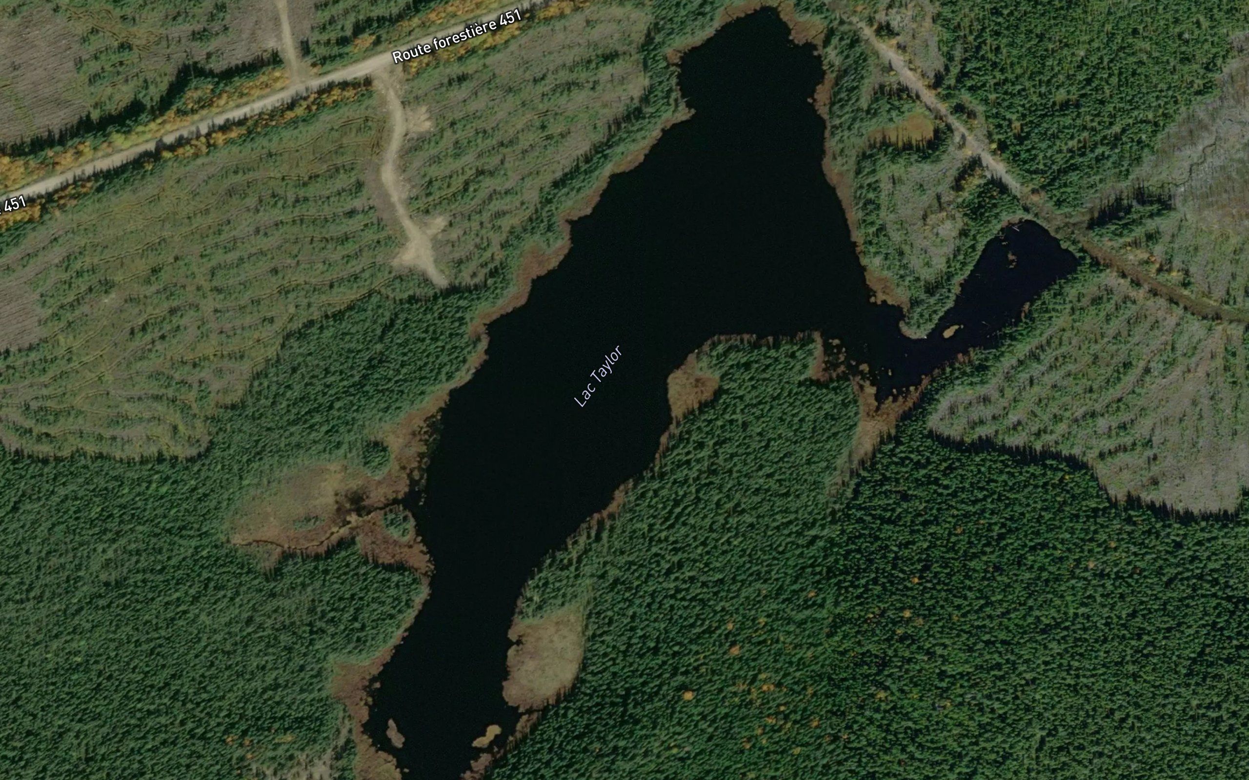 Lac Taylor