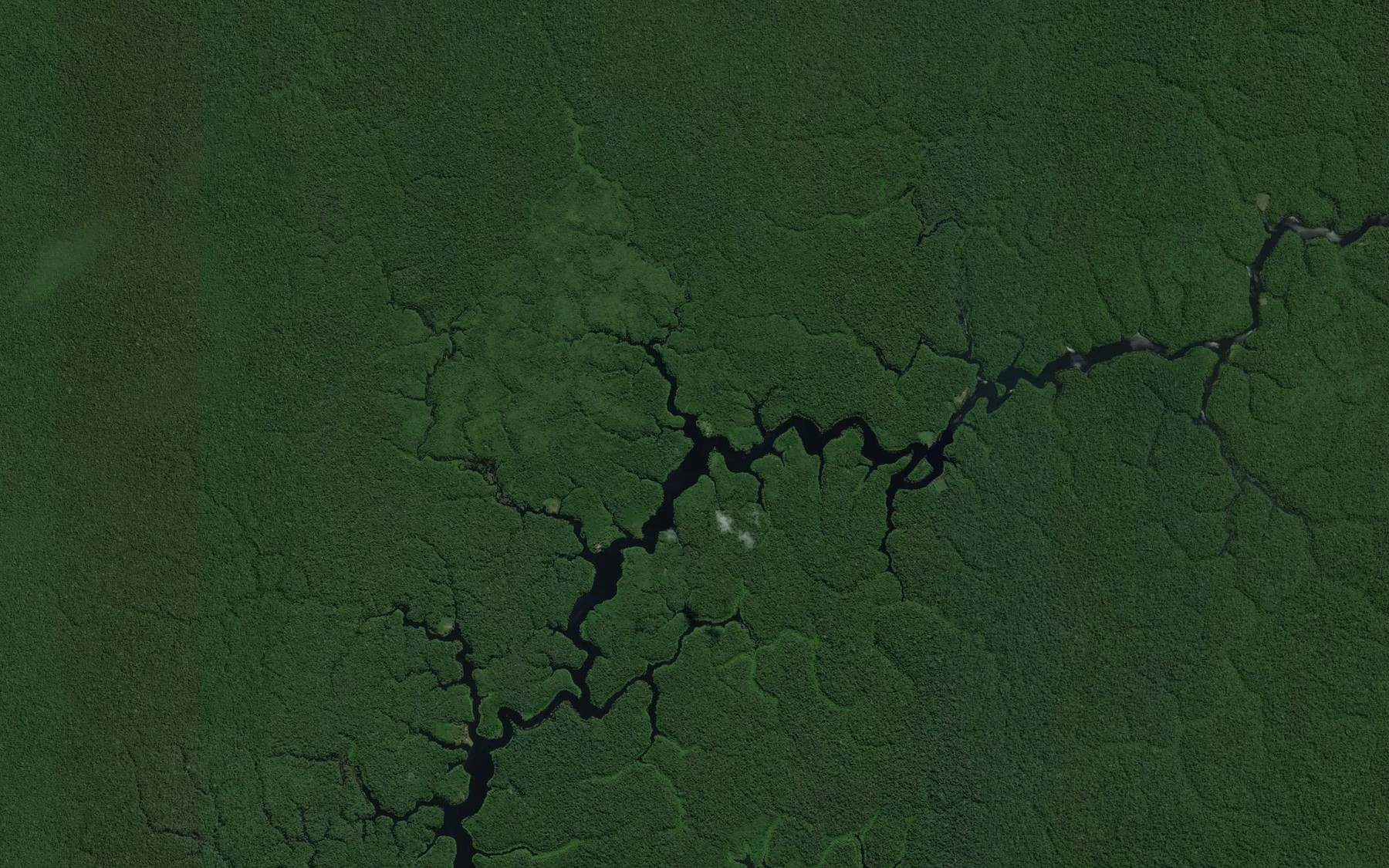 Satellite map of the Igarape Pupunhal