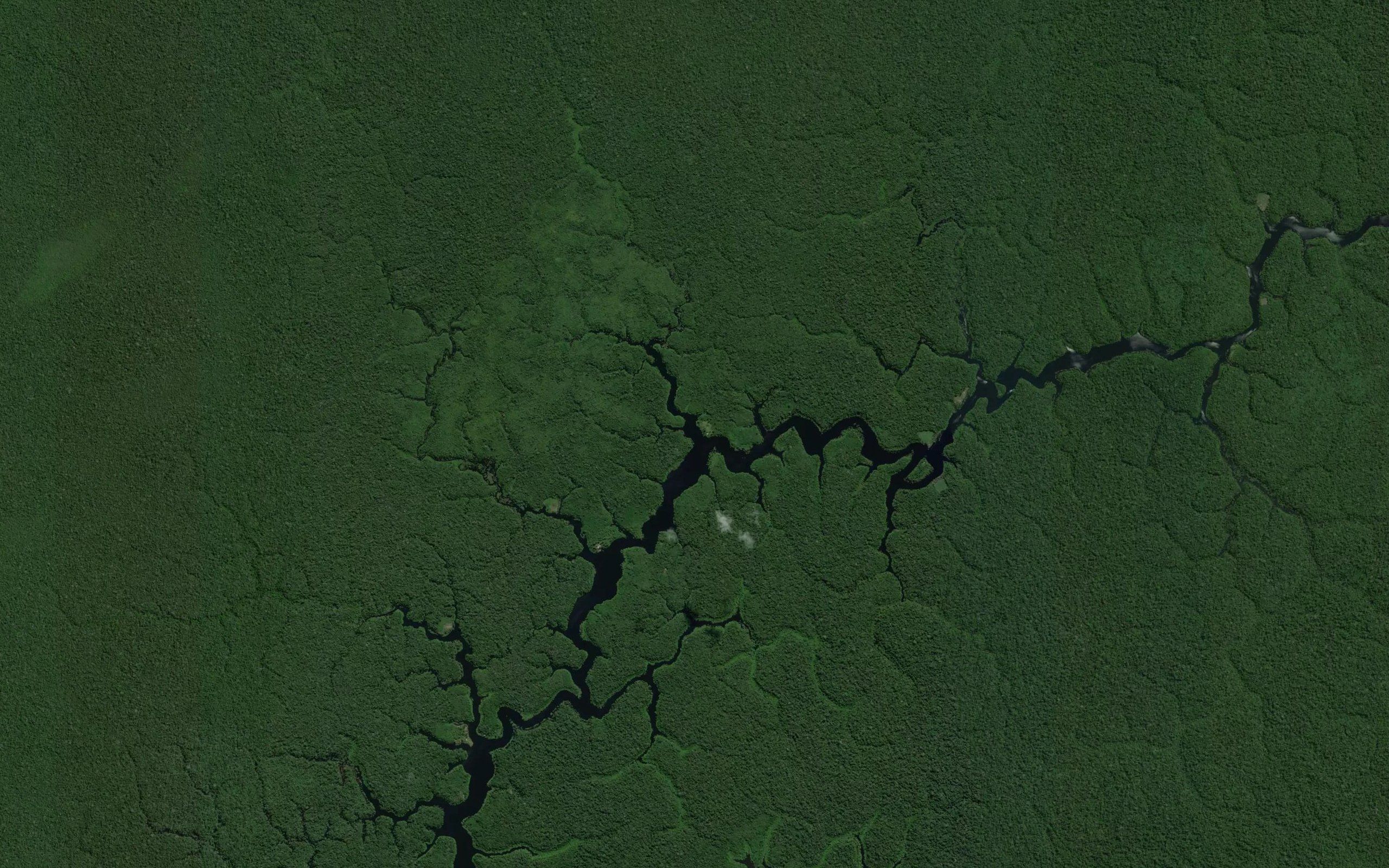Igarape Pupunhal
