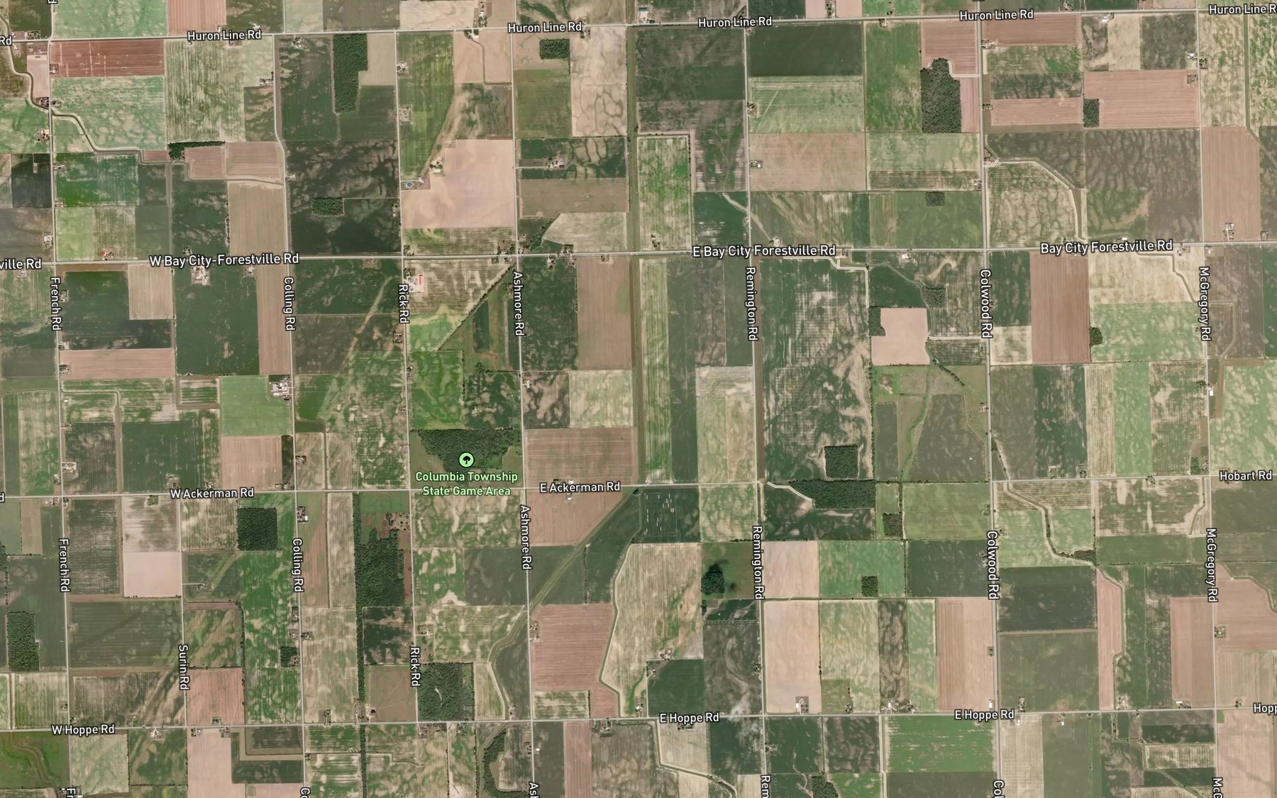 Satellite map of the State Drain