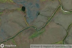 Caviar Creek