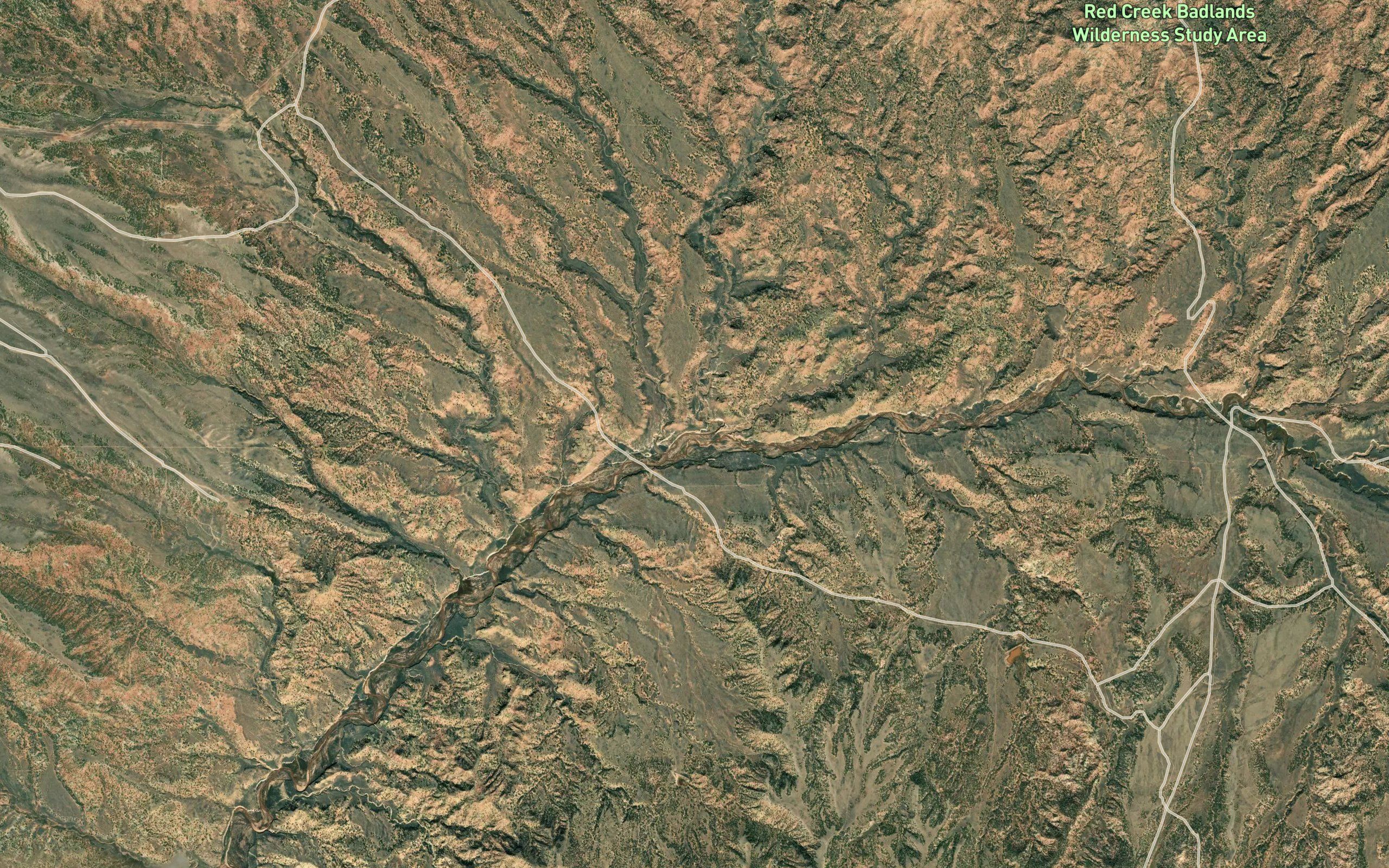 Beef Steer Creek