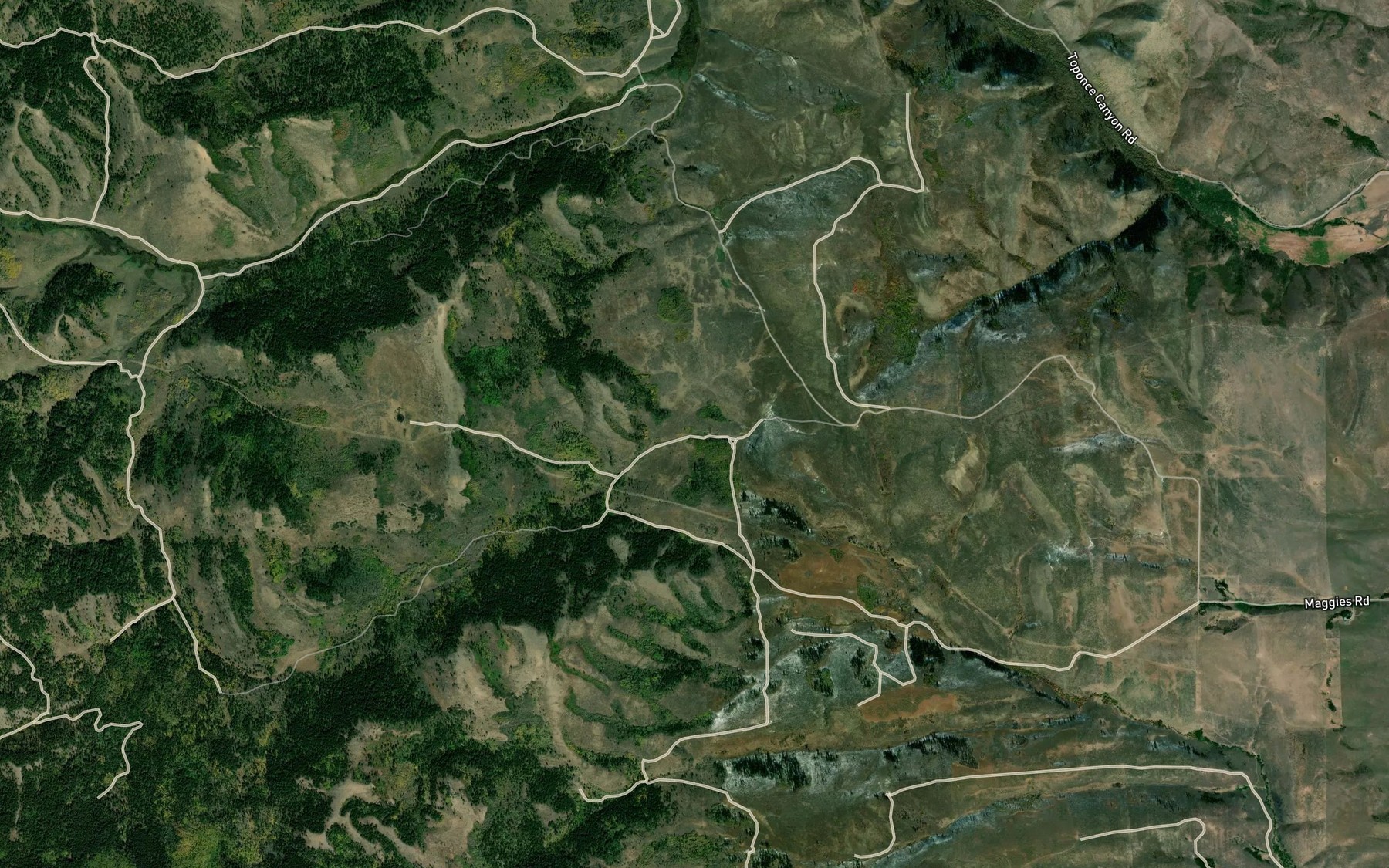 Satellite map of the Hornet Spring