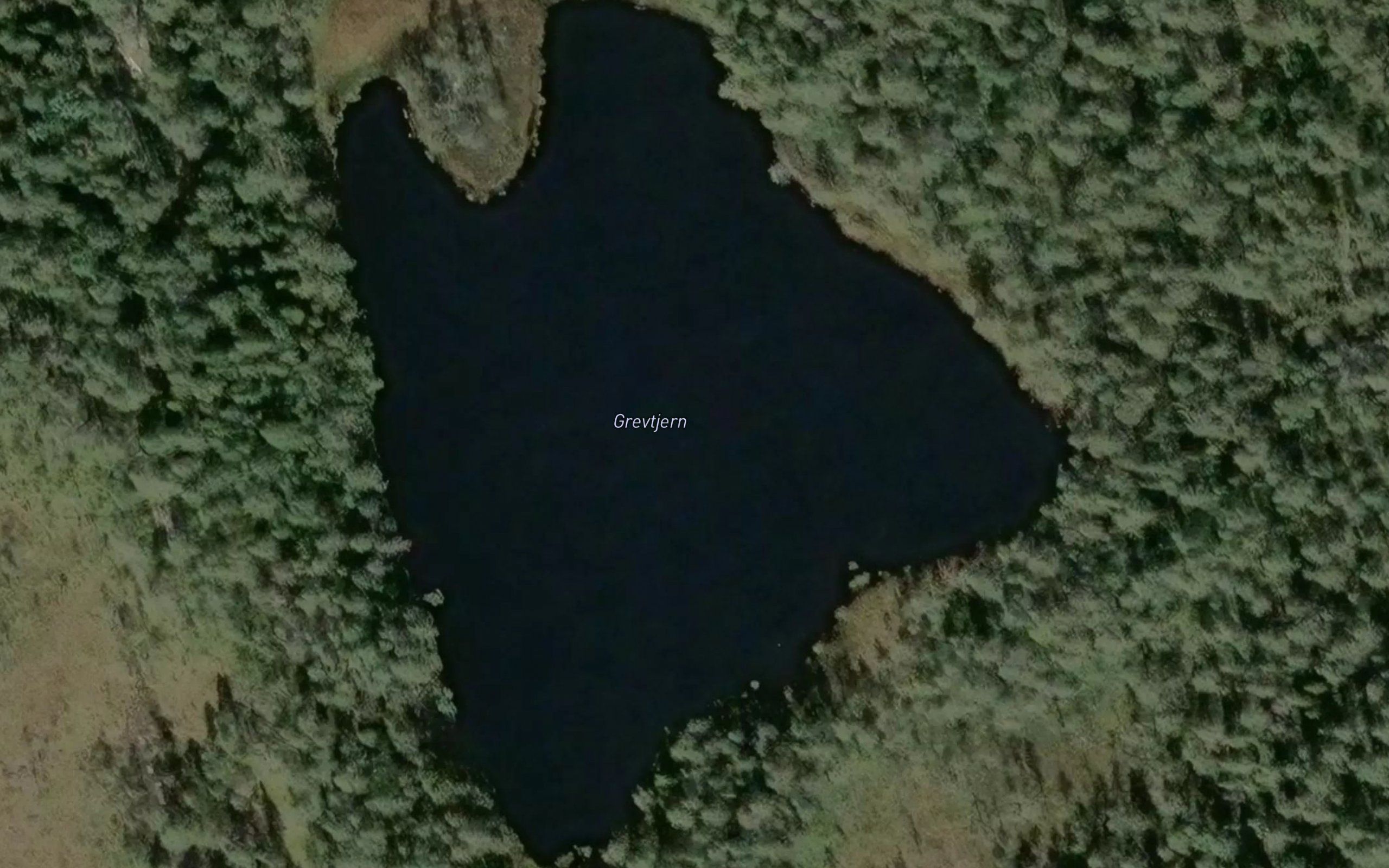Grevtjern