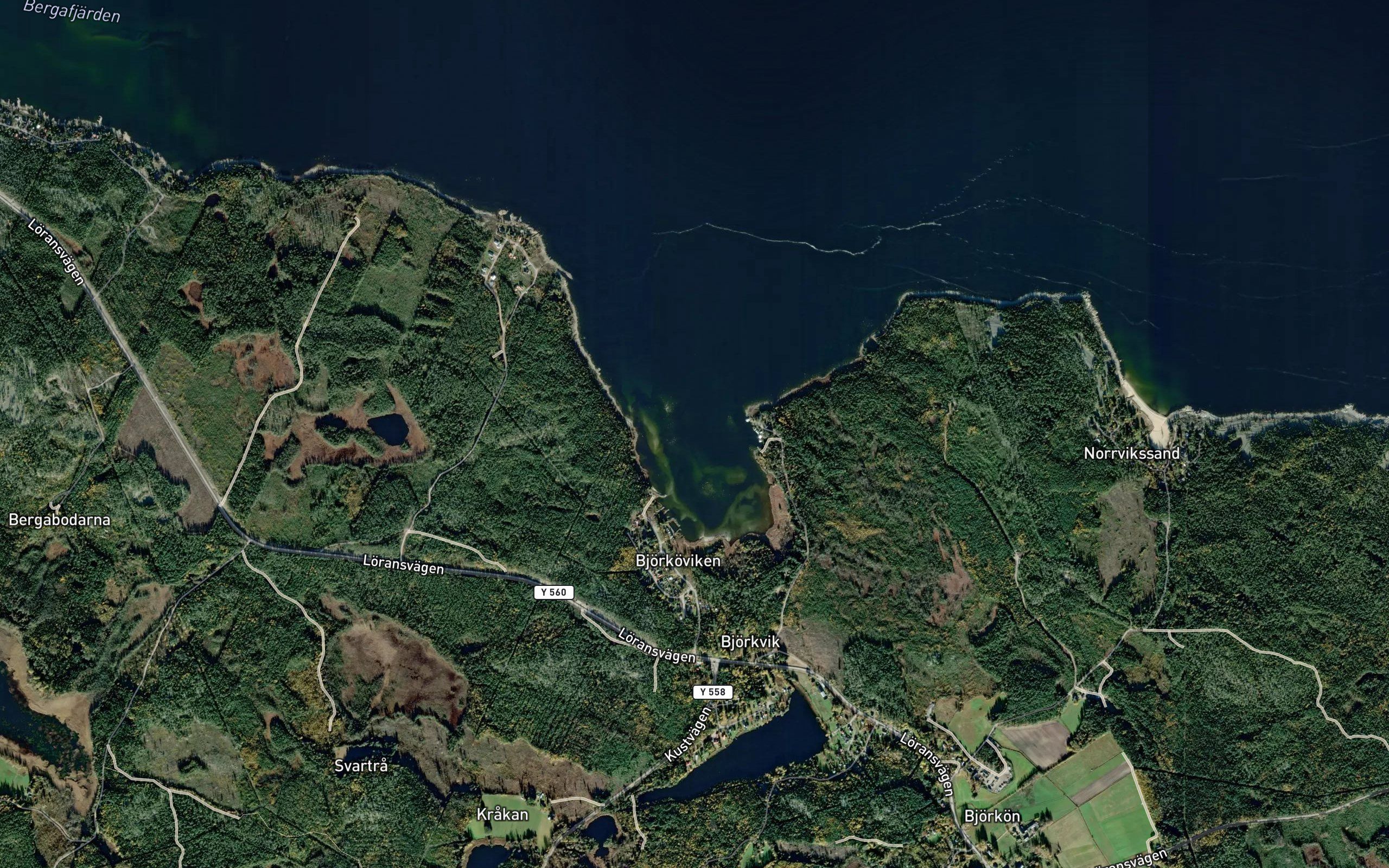 Bjorkoviken