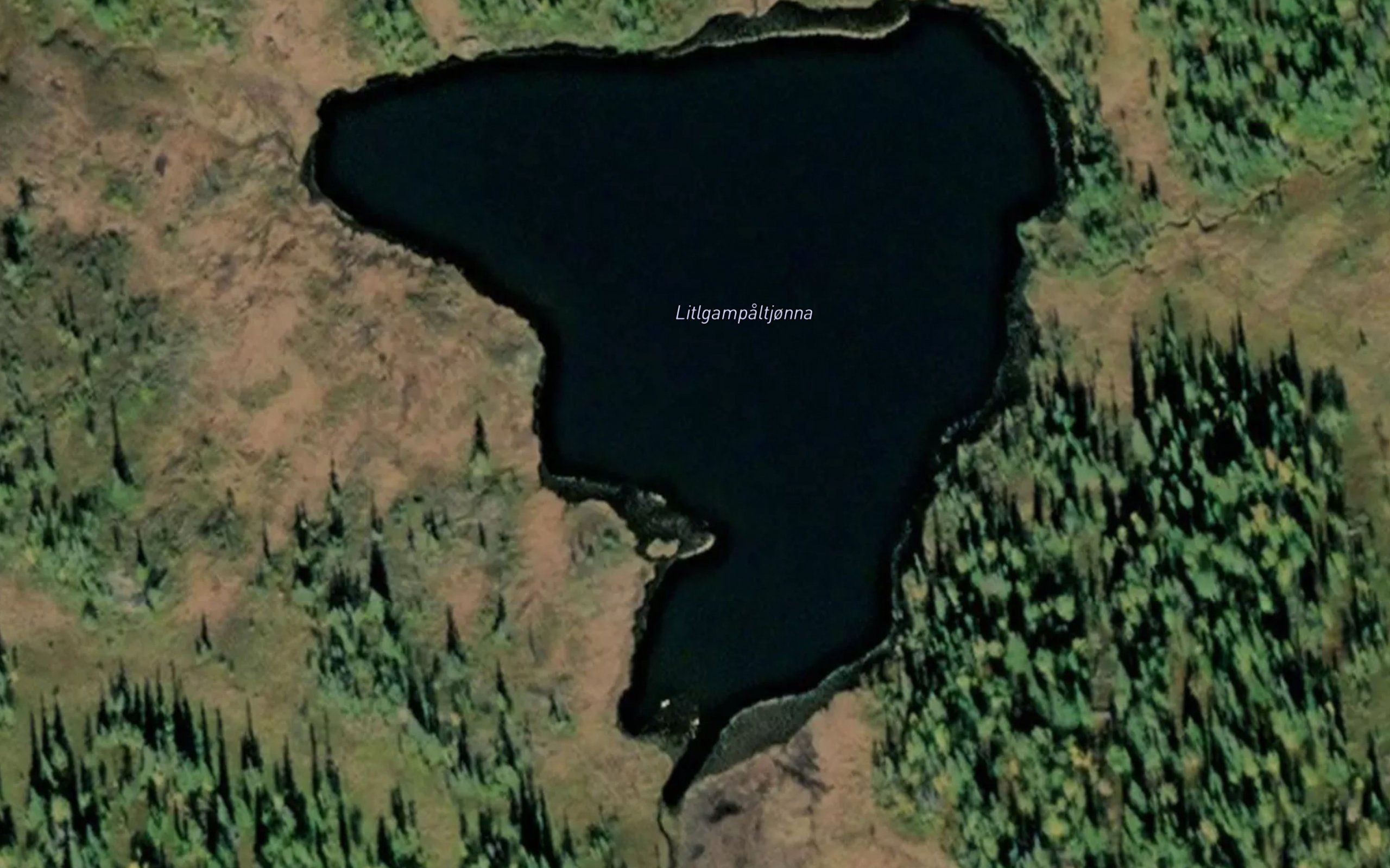 Litlgampaltjorna