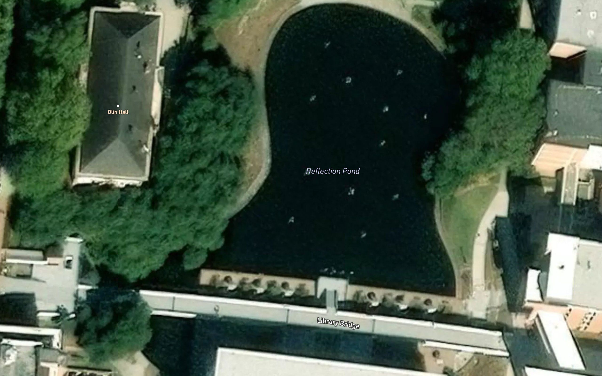 Reflection Pond