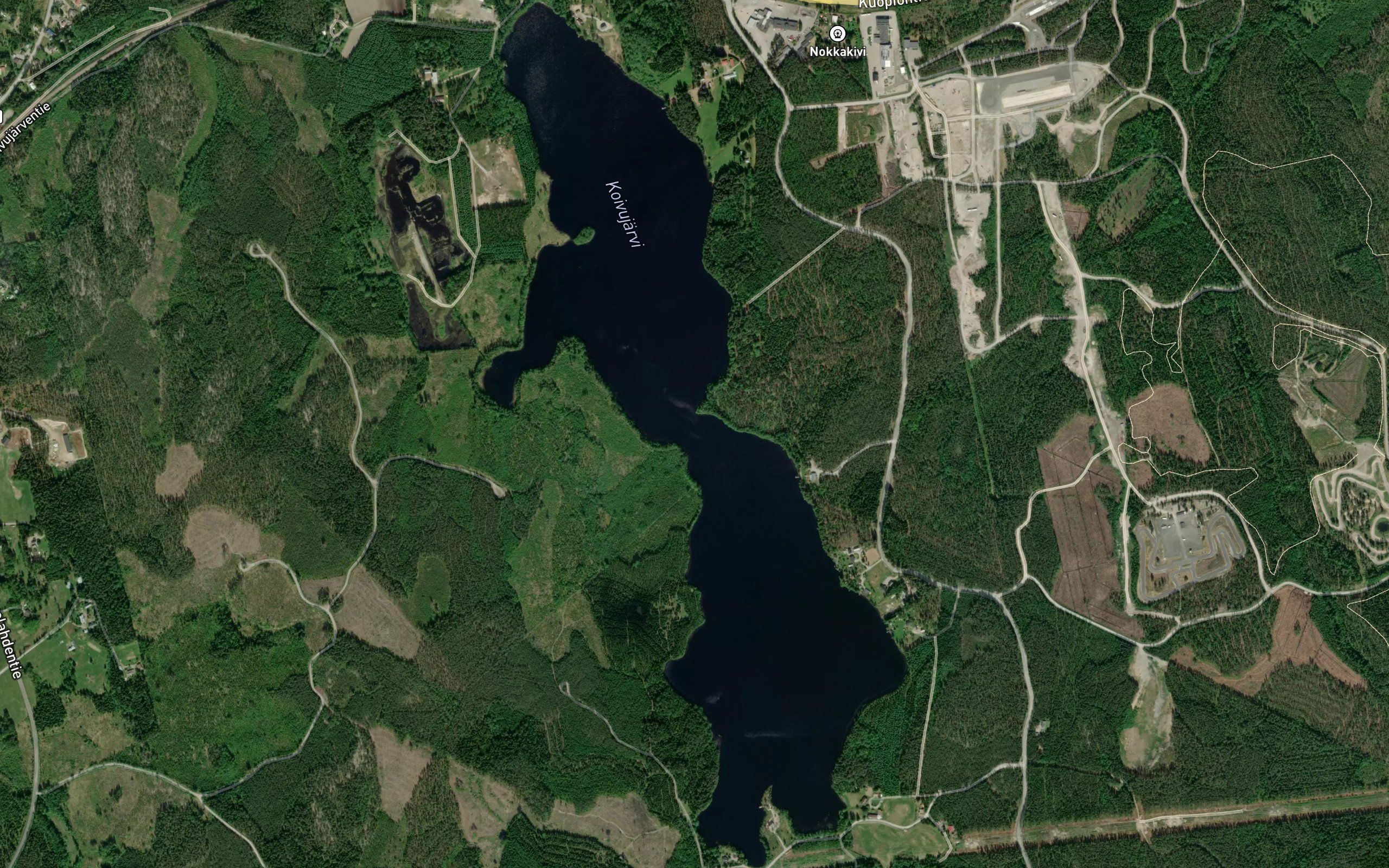 Koivujarvi