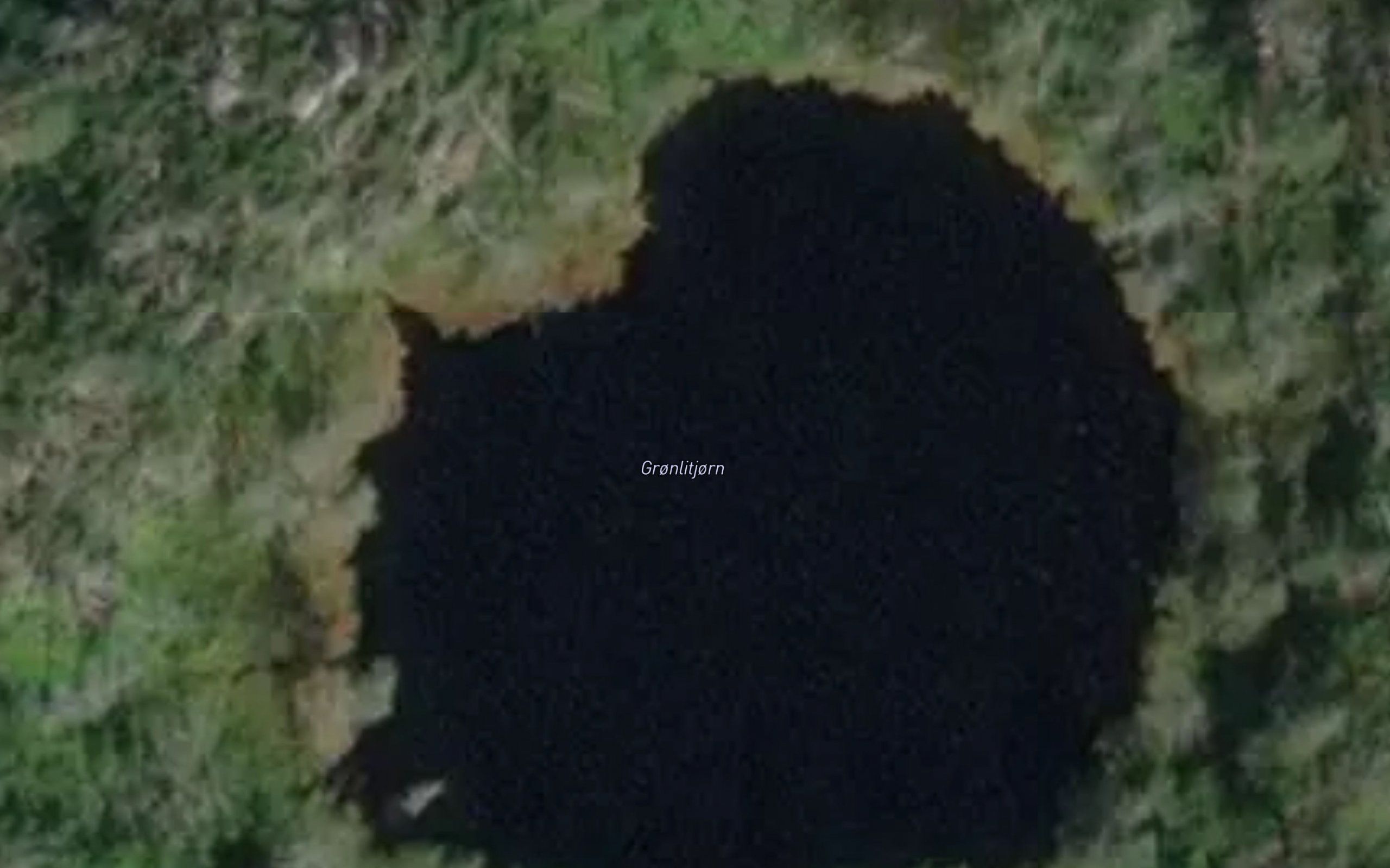 Gronlitjorn