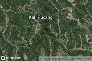 Kali Putrisari