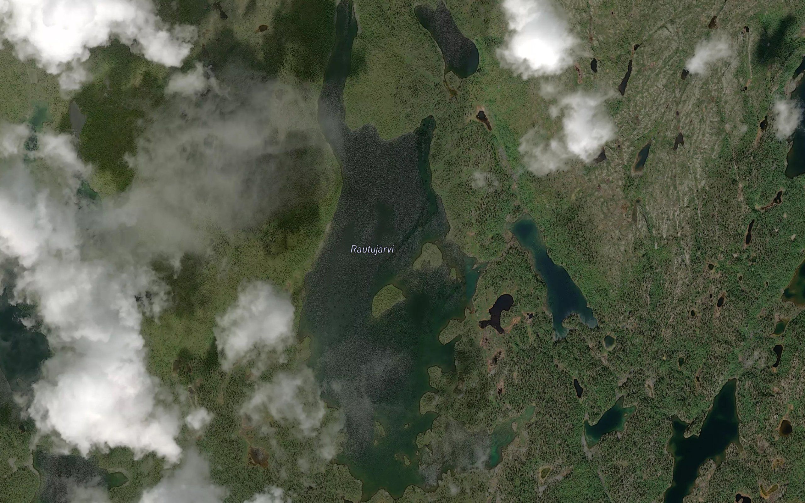 Rautujarvi