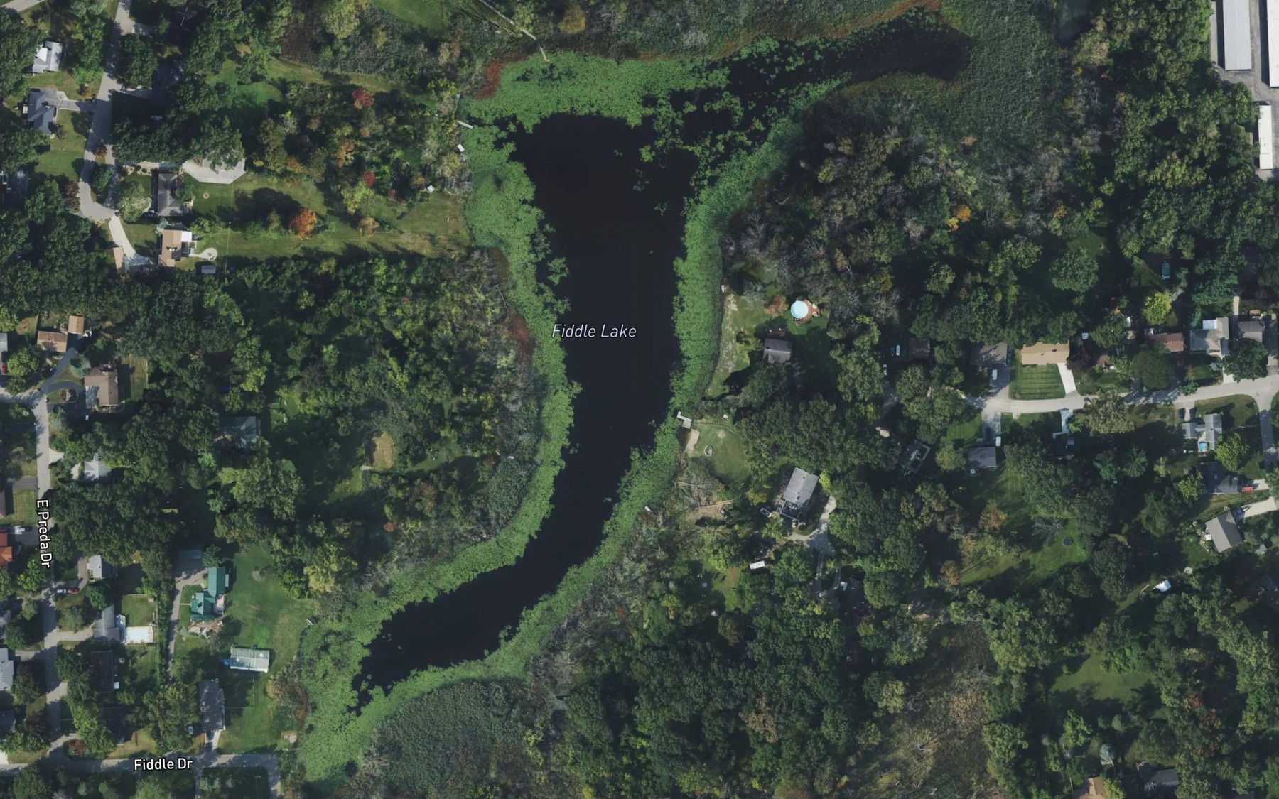 Satellite map of the Fiddle Lake