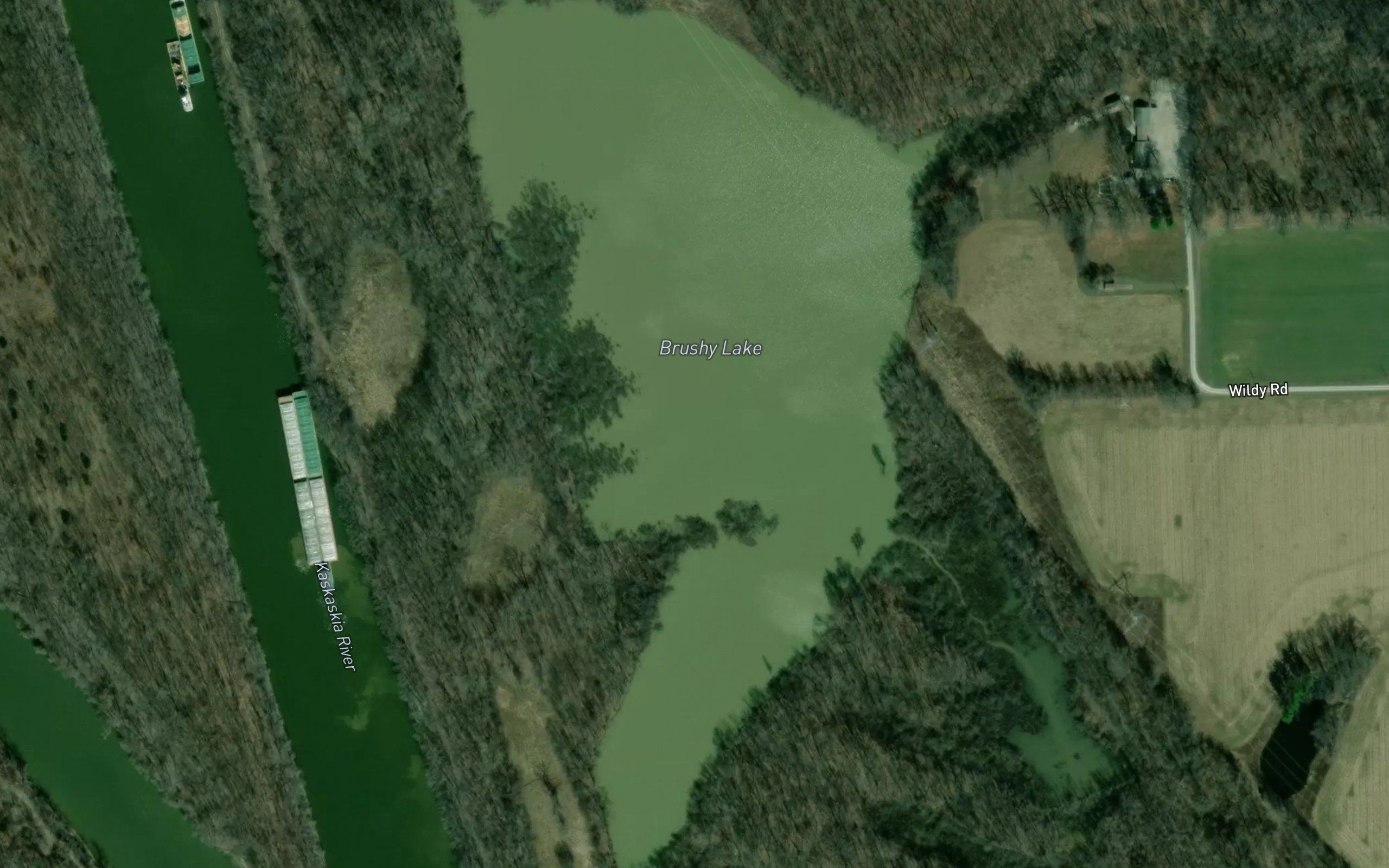 Brushy Lake