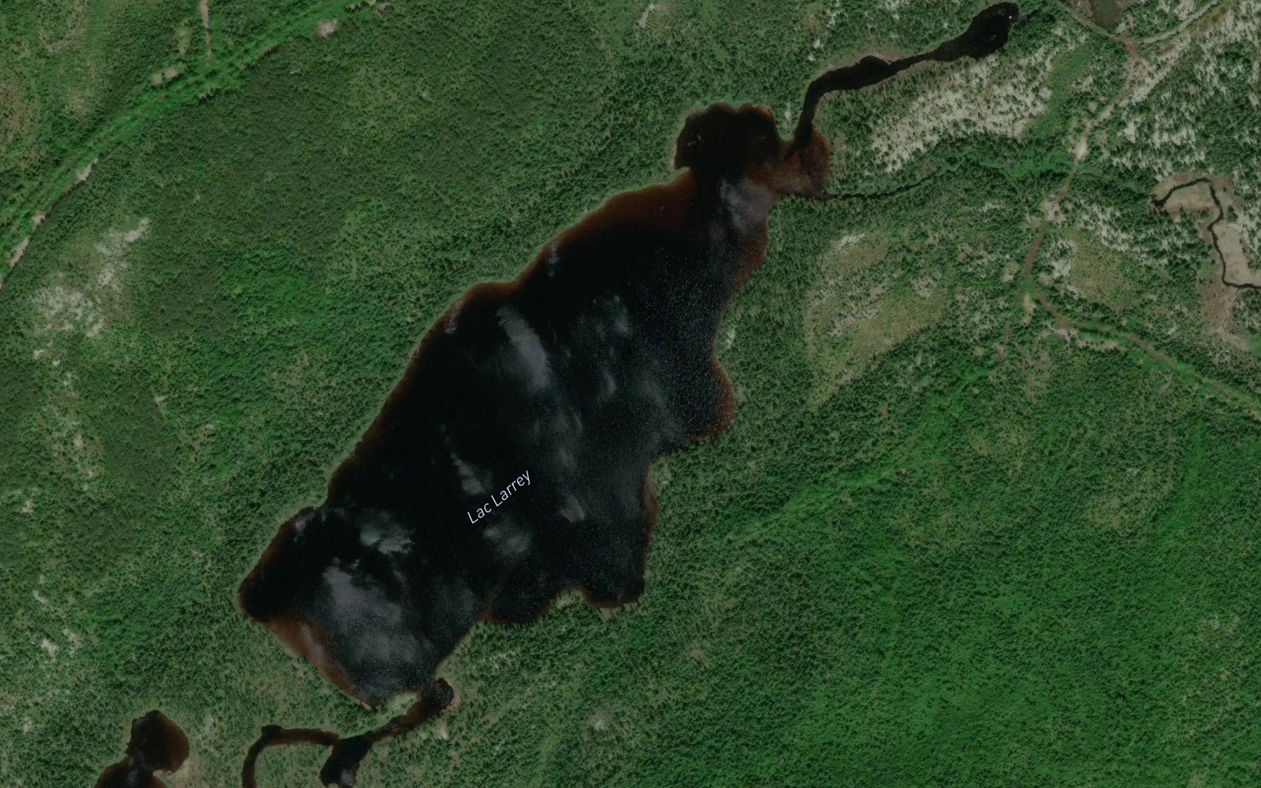 Satellite map of the Lac Larrey
