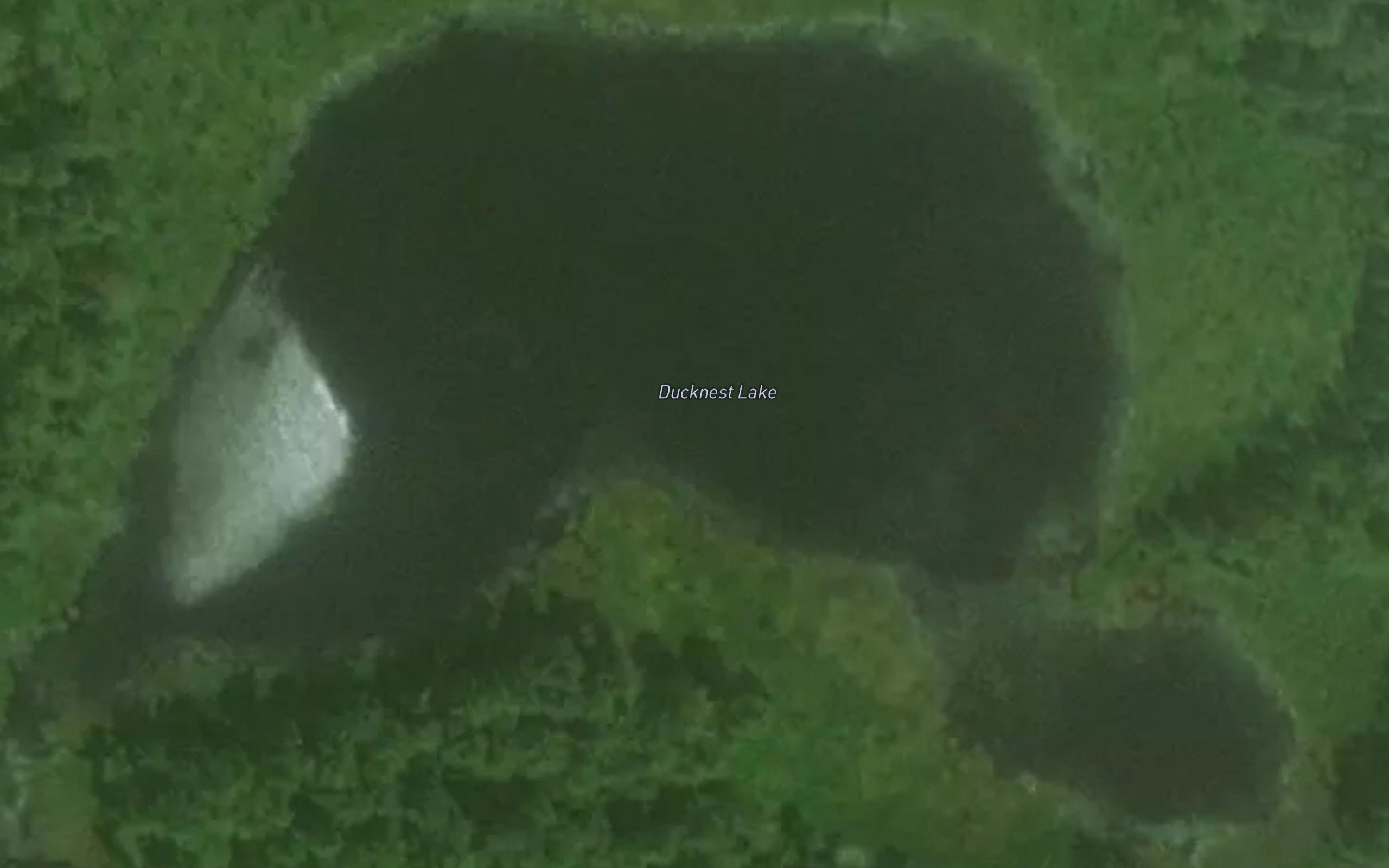 Ducknest Lake