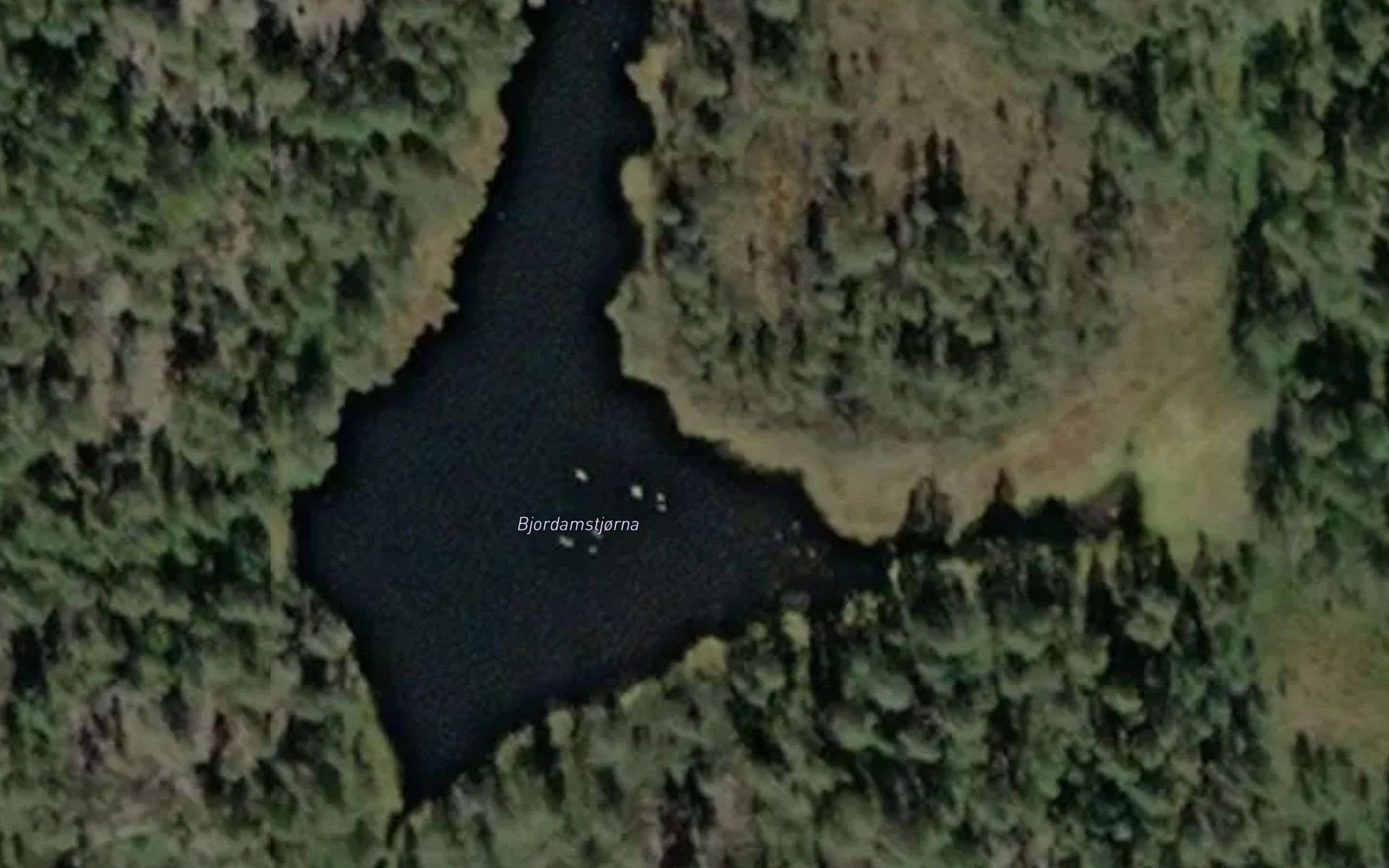 Bjordamstjorna