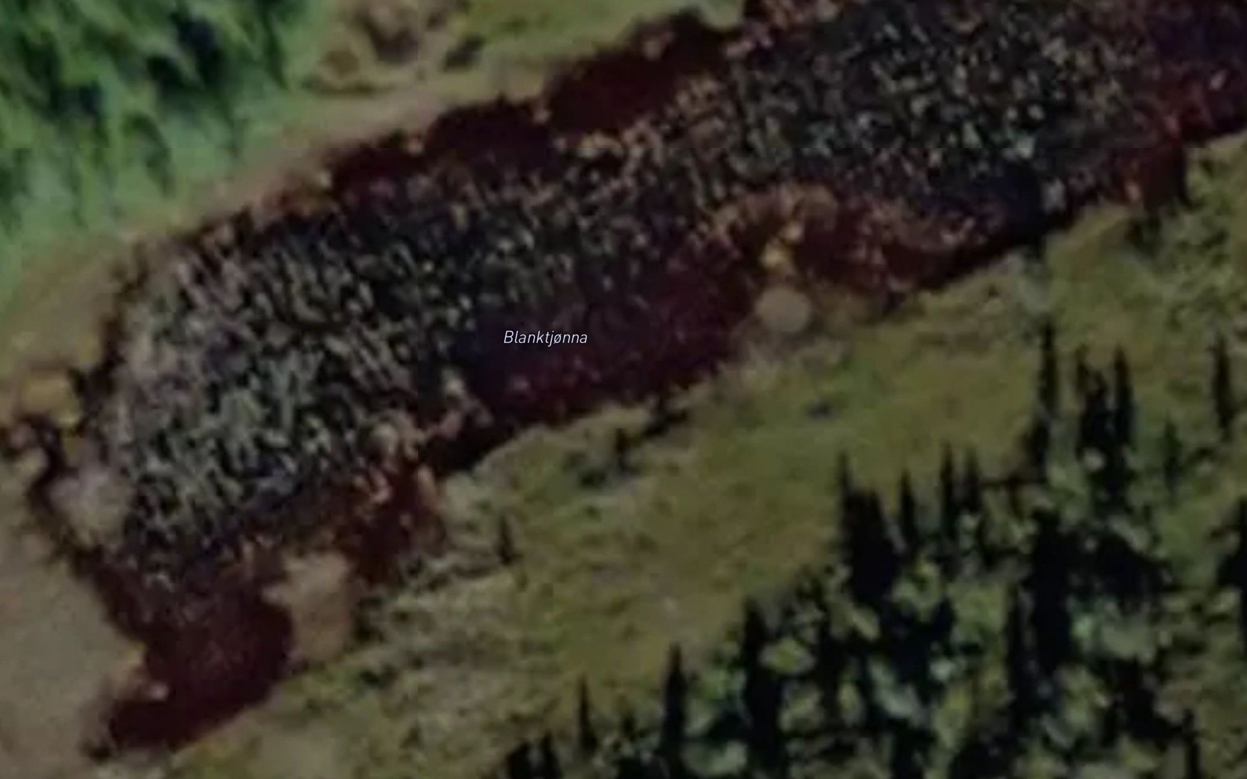 Blanktjorna