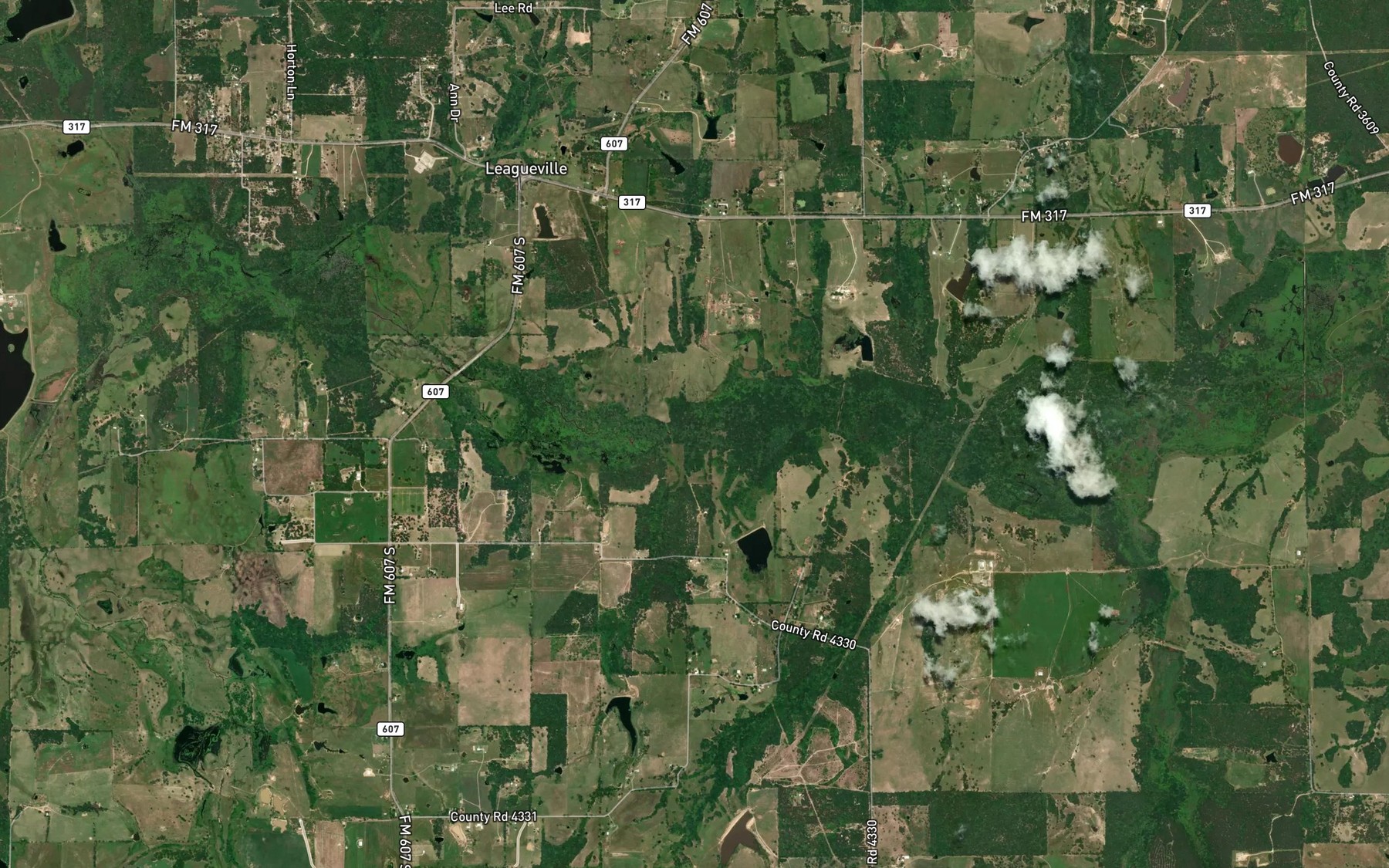 Satellite map of the Boggy Branch