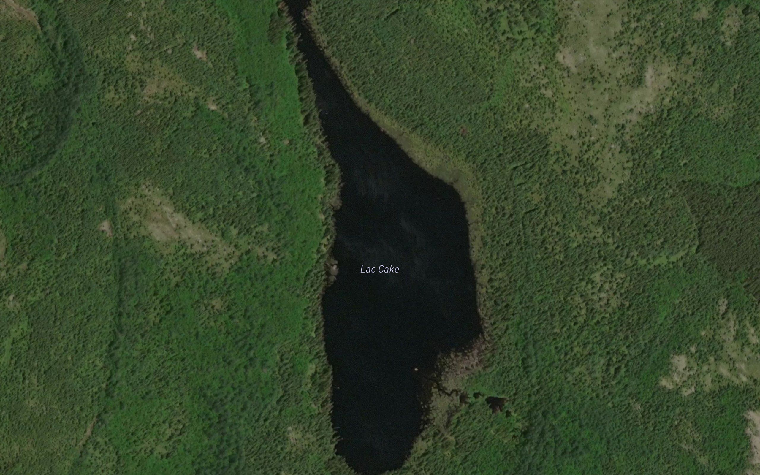 Lac Cake