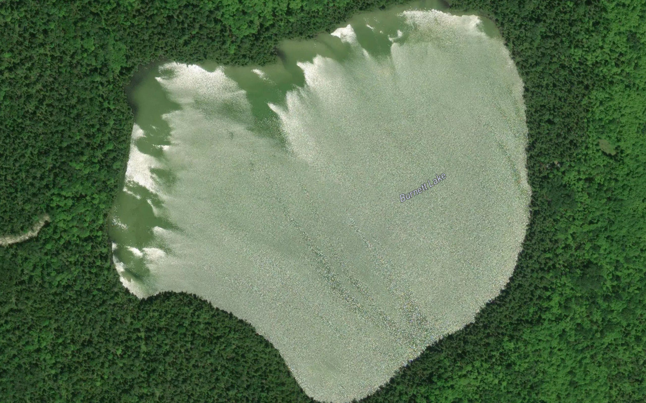 Burnett Lake