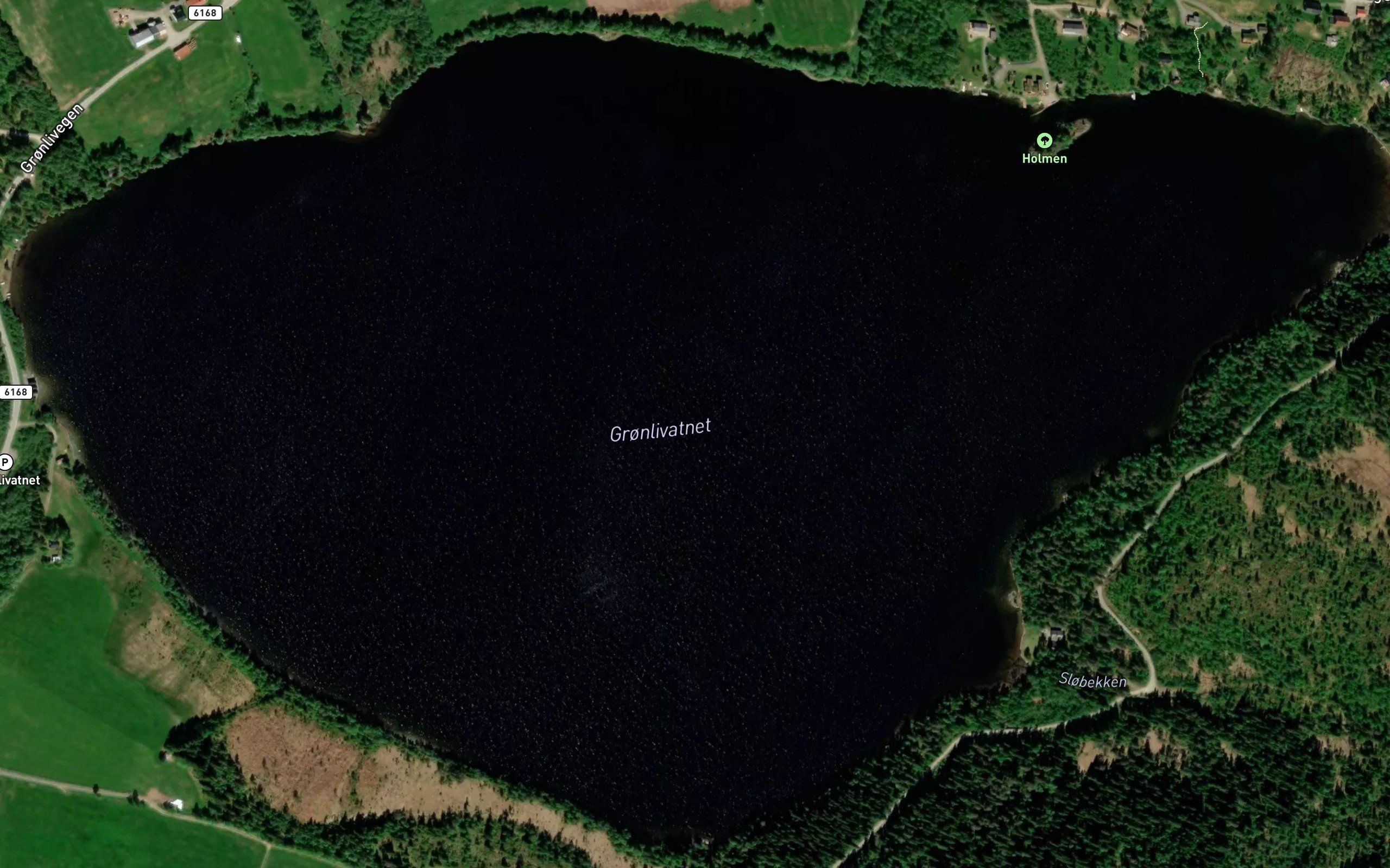Gronlivatnet