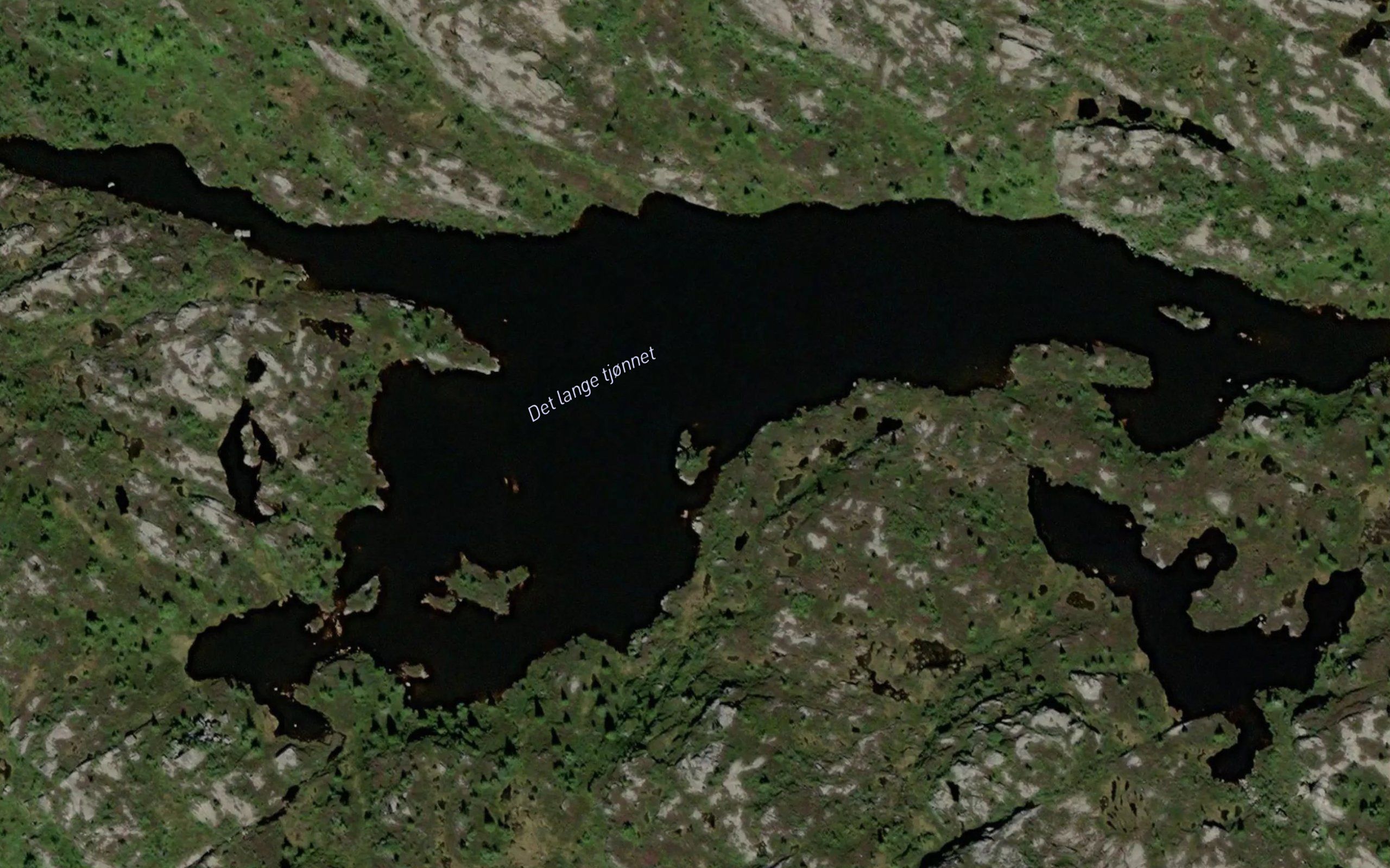 Det lange tjornet