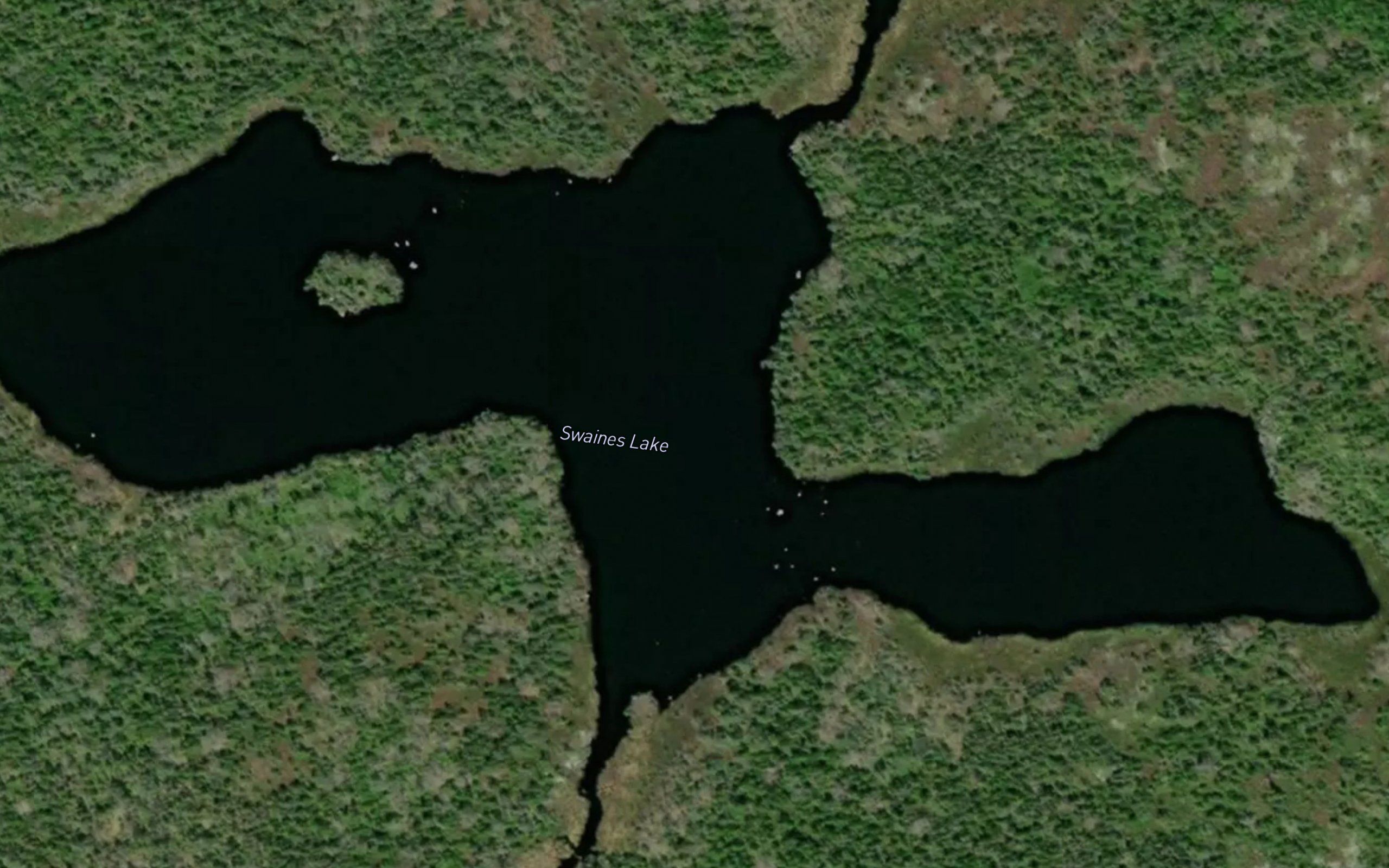 Swaines Lake