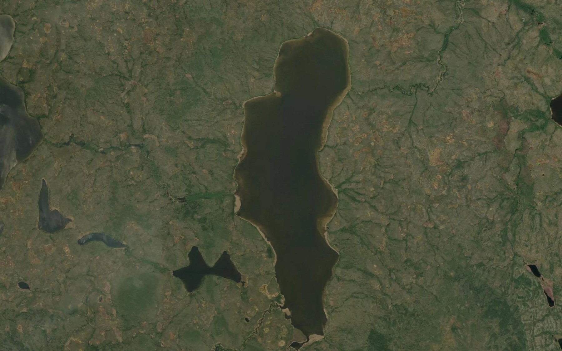 Satellite map of the Williamson Lake
