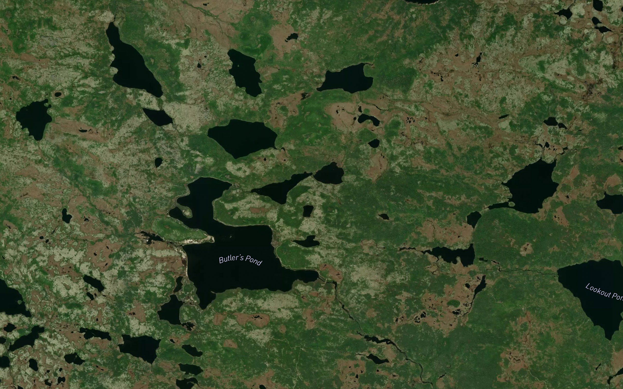 Kearneys Pond
