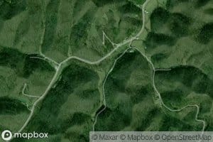 Spruce Branch