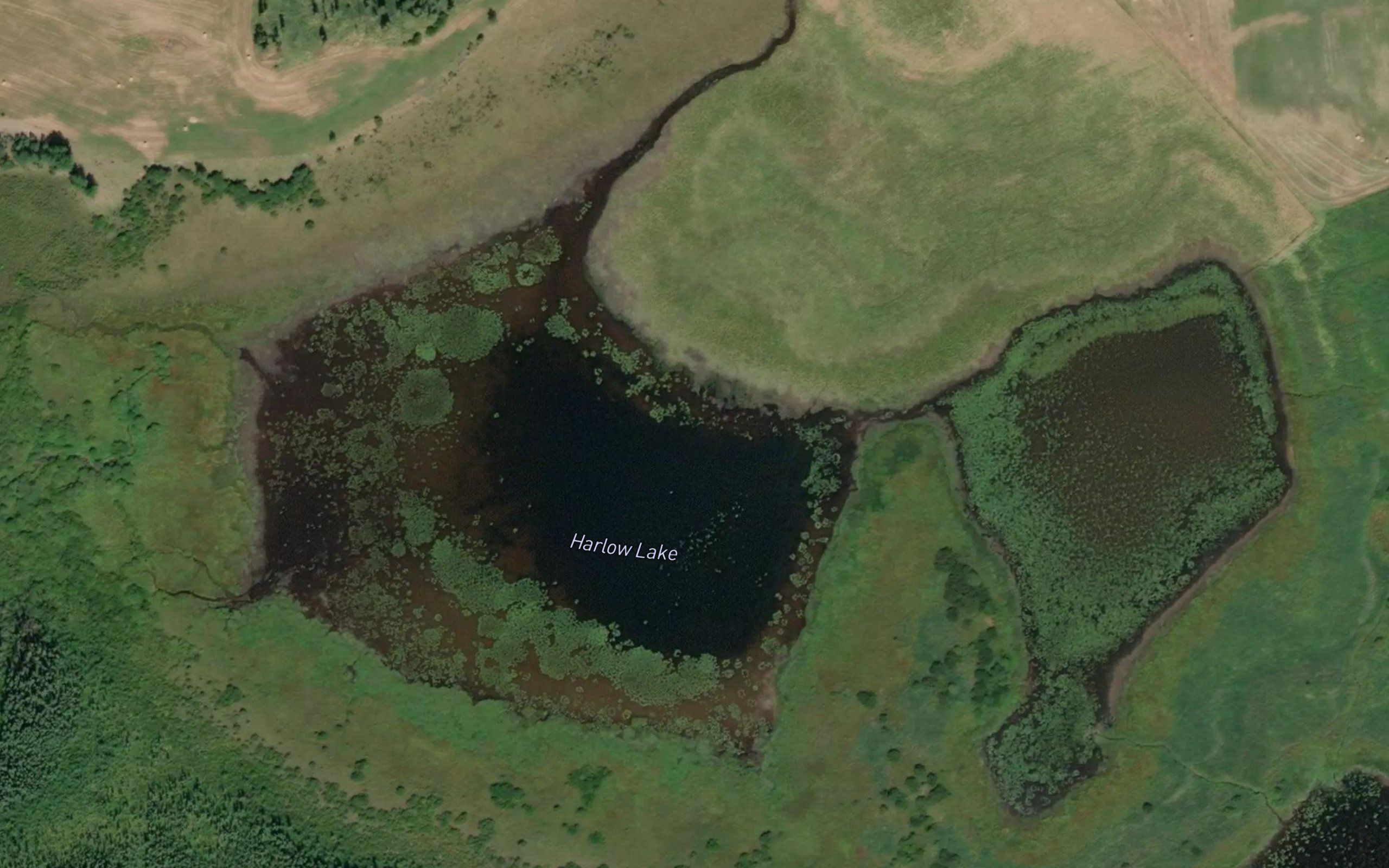 Harlow Lake