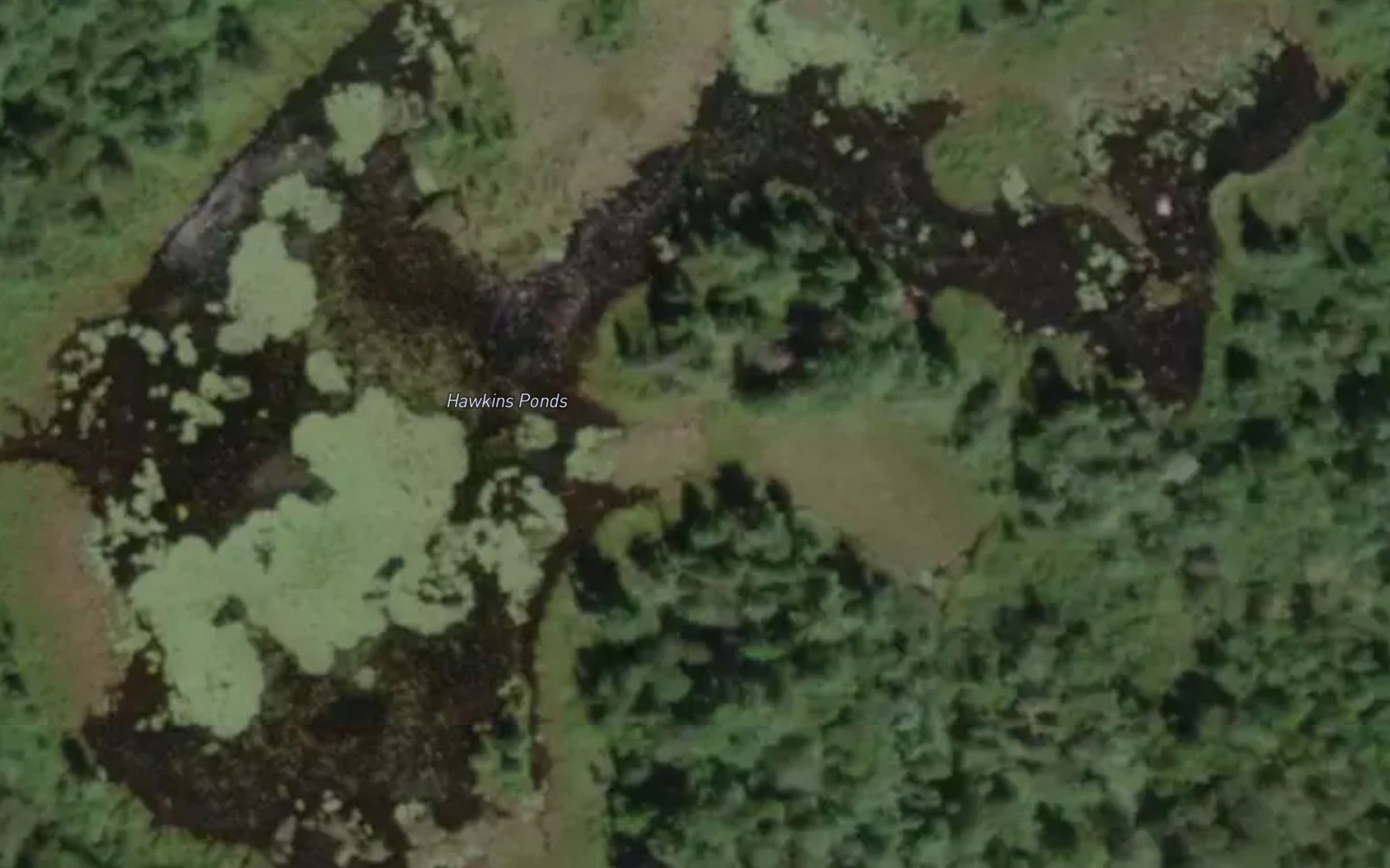 Satellite map of the Hawkins Ponds