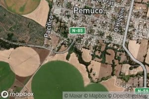 Estero Pemuco