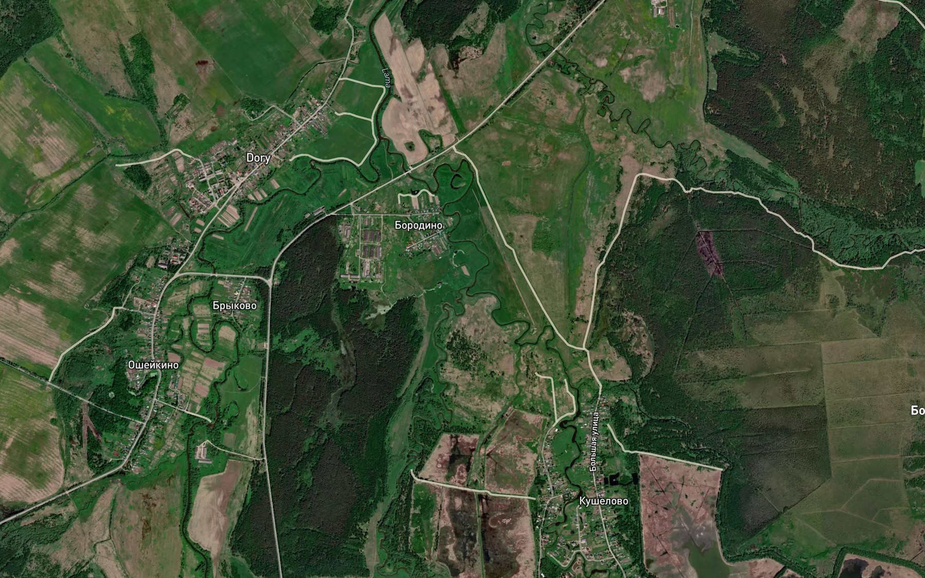 Satellite map of the Bol'shaya Sestra