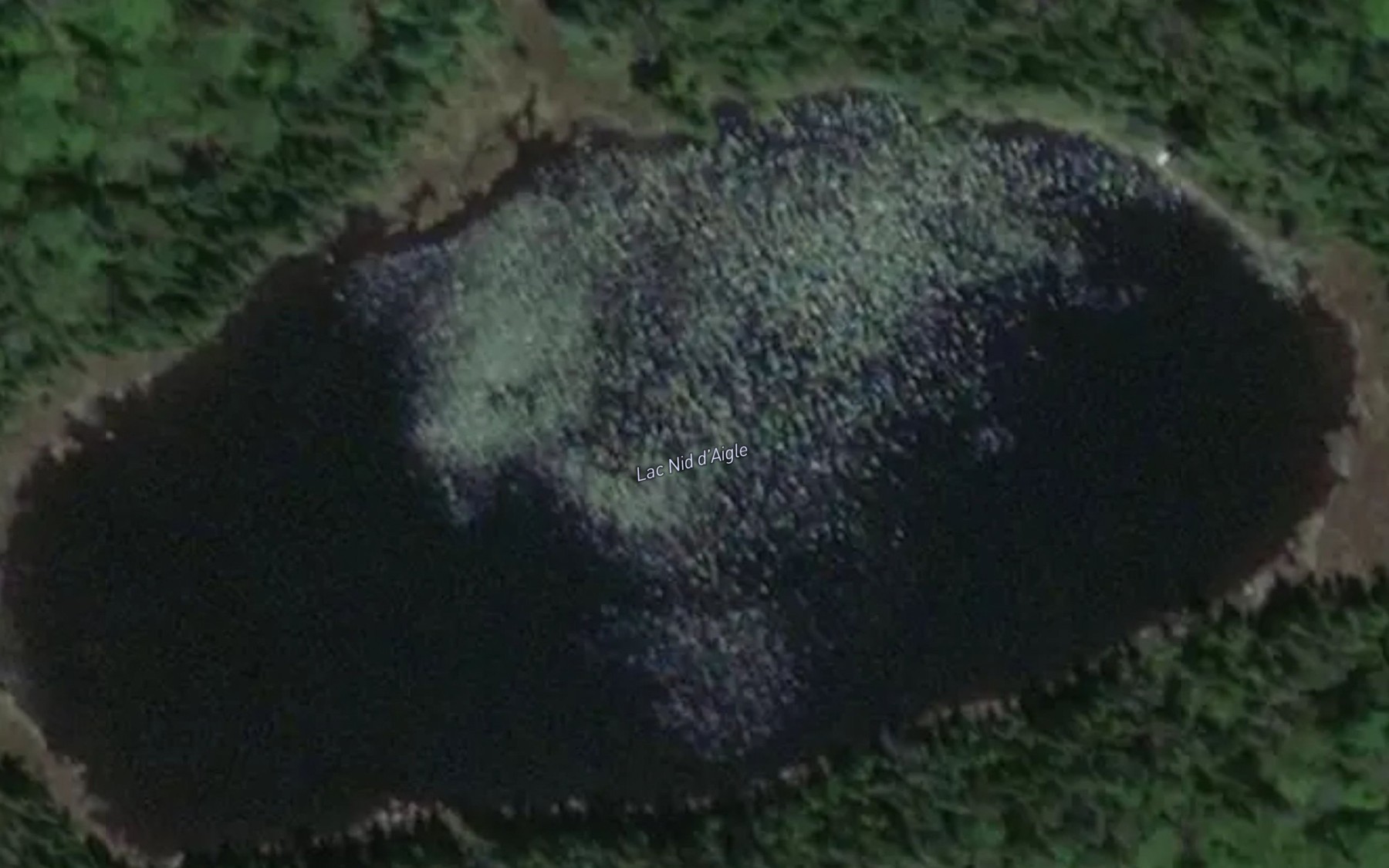 Satellite map of the Lac Nid d'Aigle