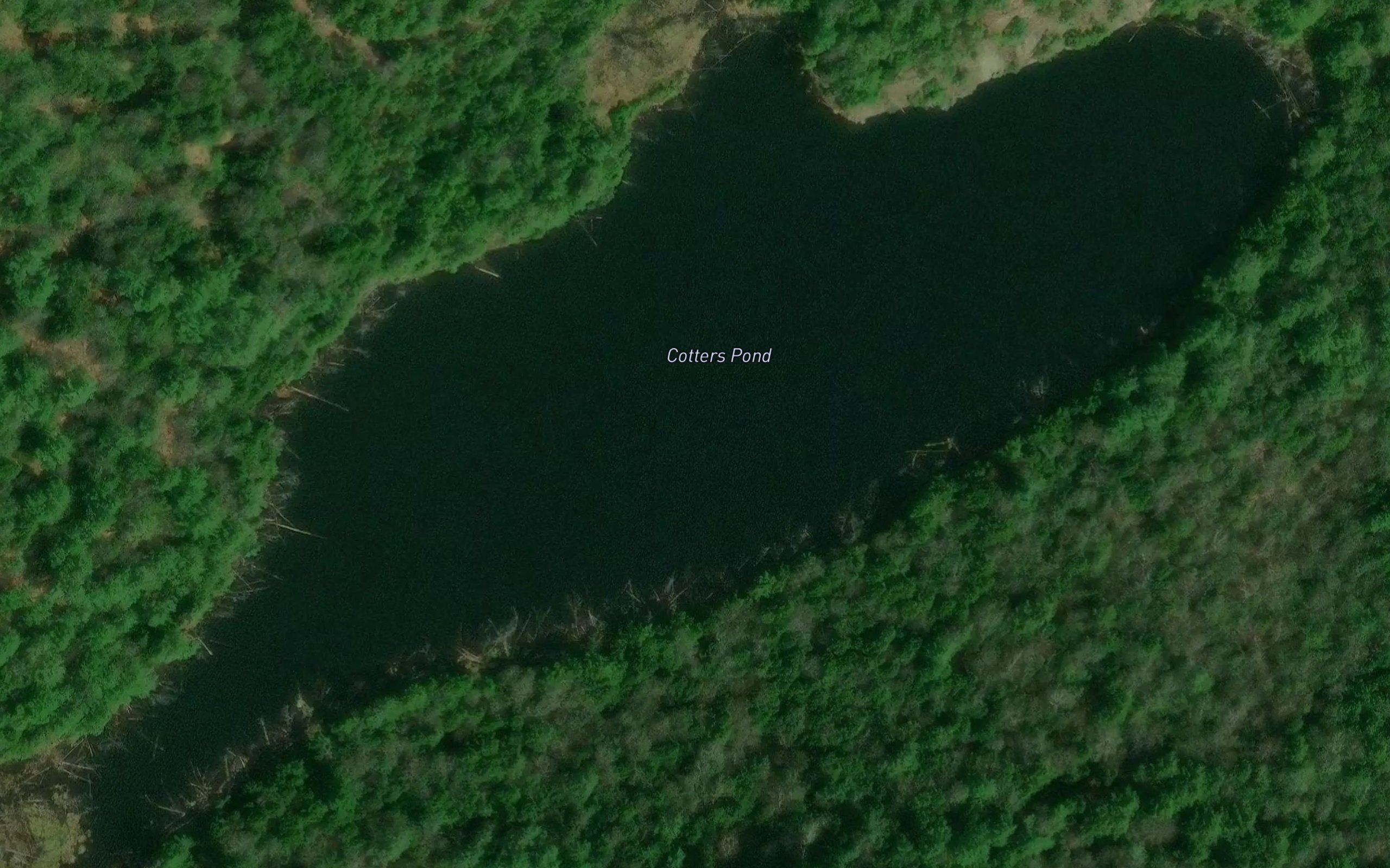 Cotters Pond